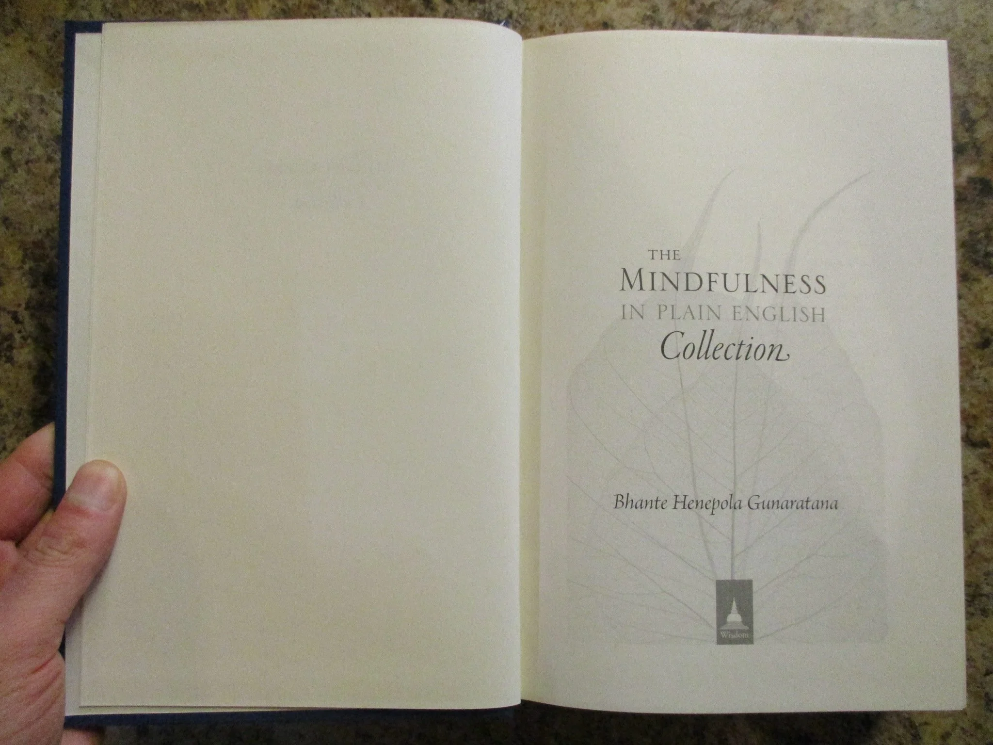 004476 - Mindfulness Collection 4.JPG