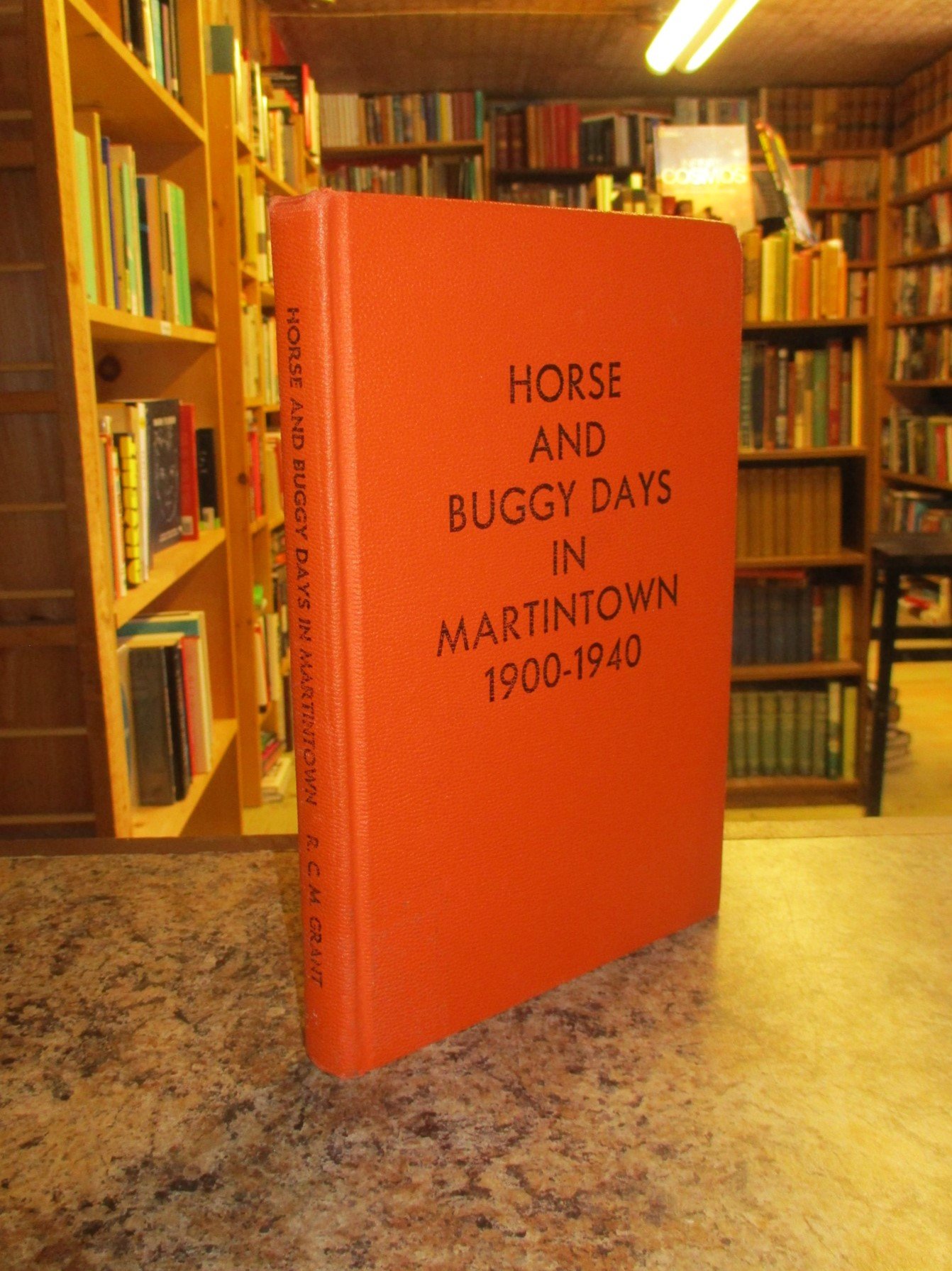 004405 - Horse and Buggy Days Martintown 1.JPG