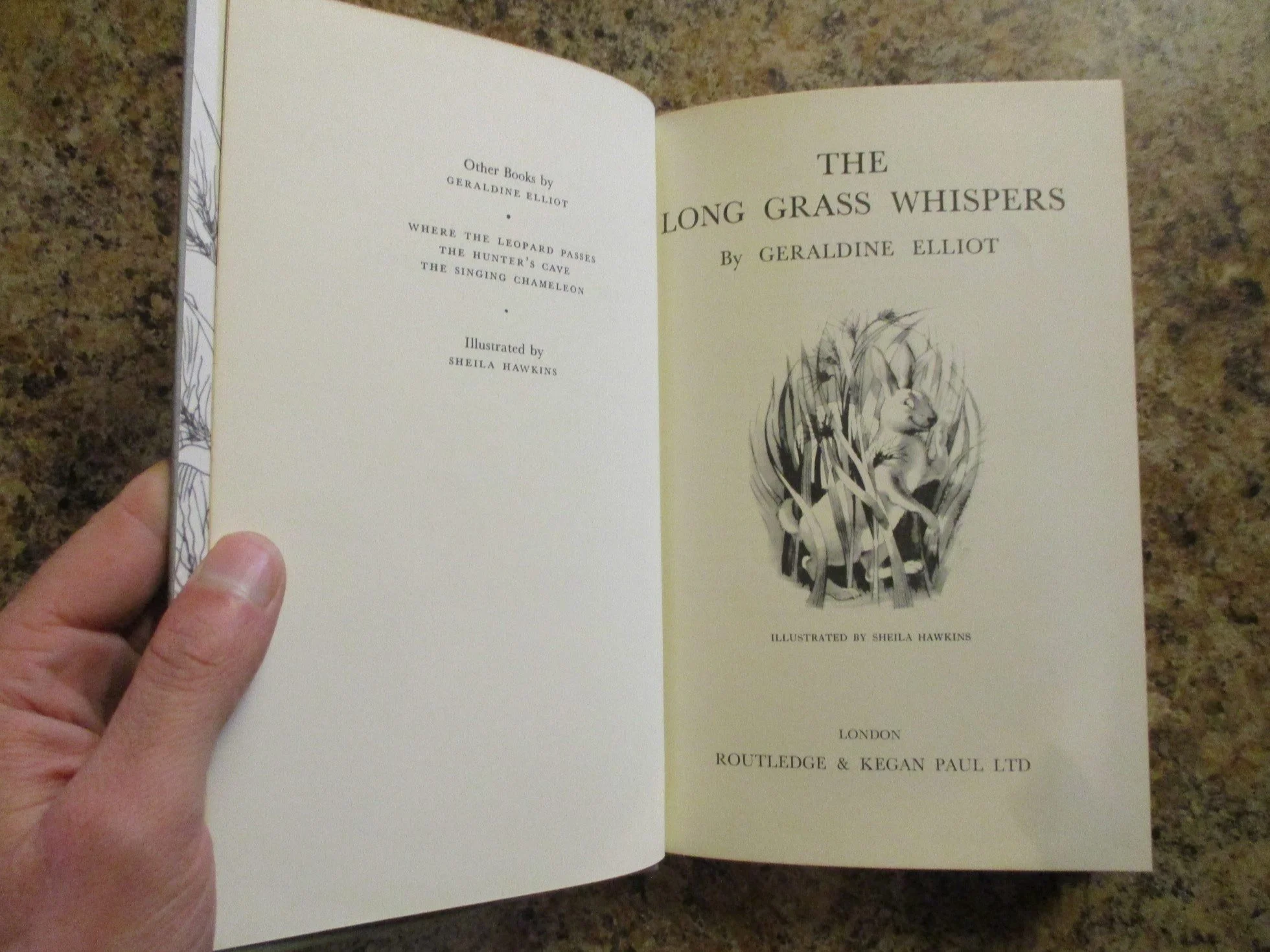 004475 - Long Grass Whispers 4.JPG