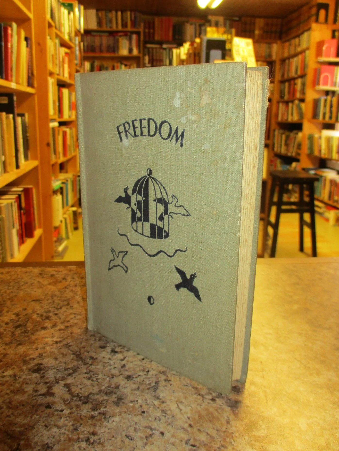 004146 - Freedom 3.JPG