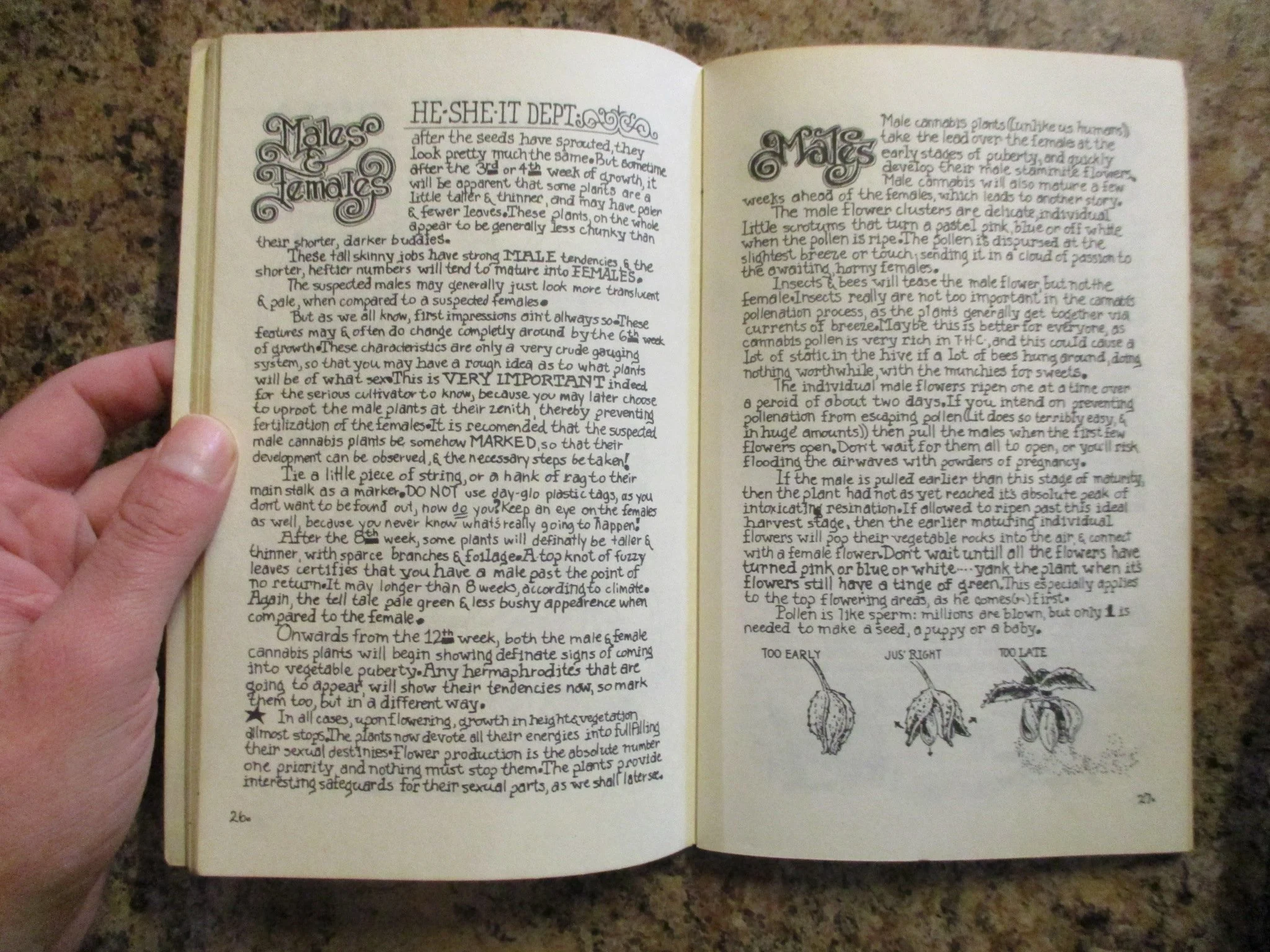 004066 - Grow Yer Own Stone 6.JPG