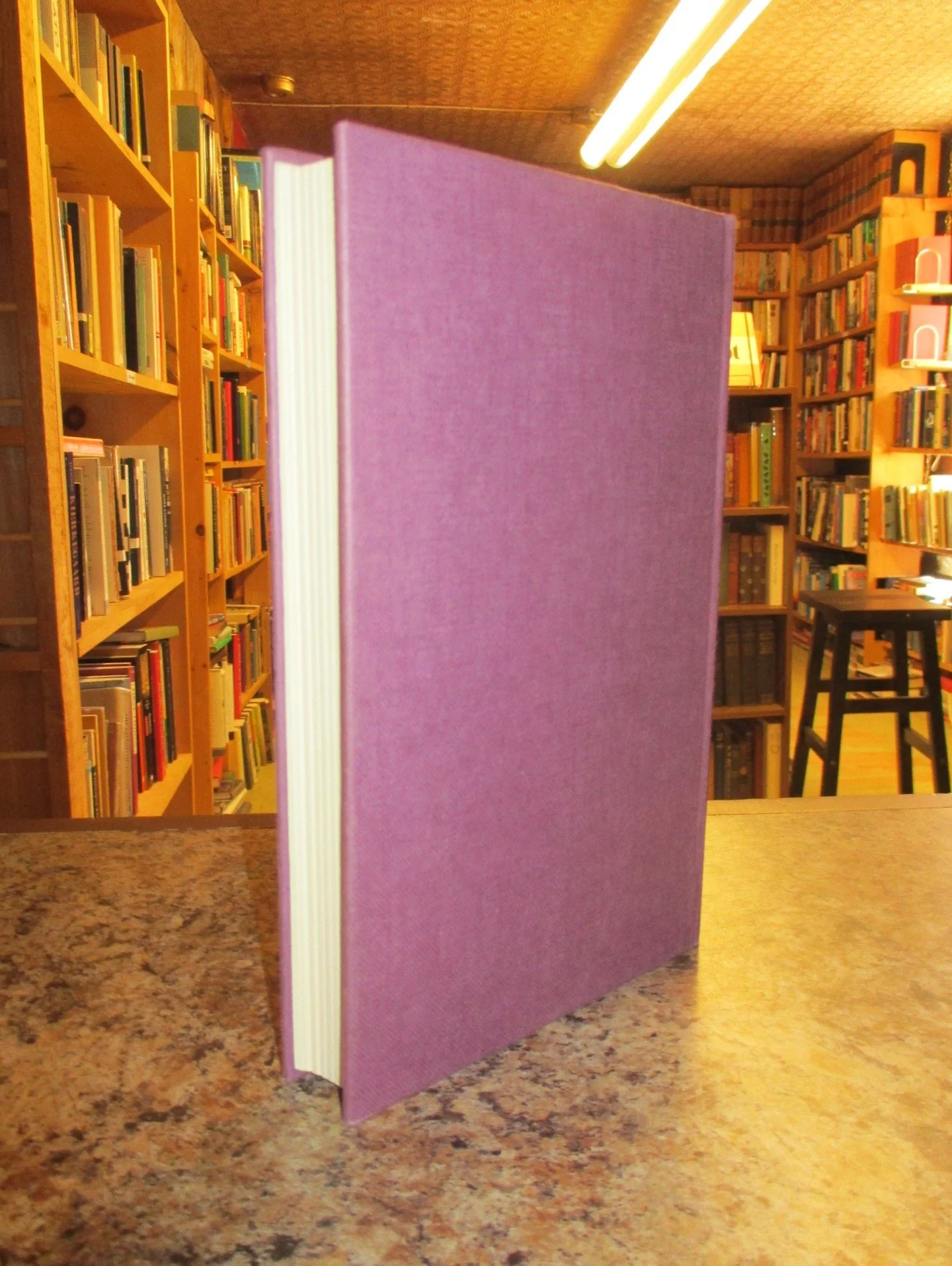 004123 - Alien Merchants England 2.JPG