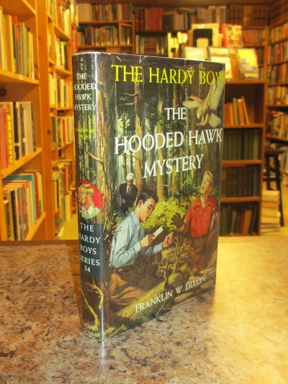 004300 - HB34 Hooded Hawk 1.JPG