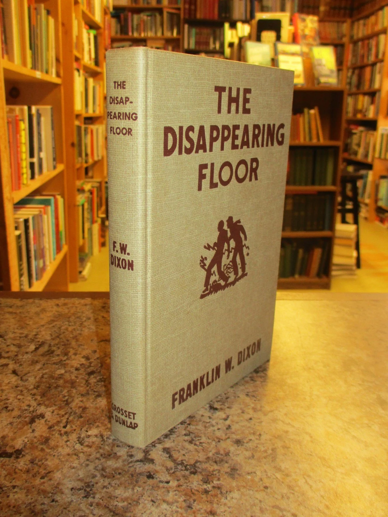 004298 - HB19 Disappearing Floor 4.JPG