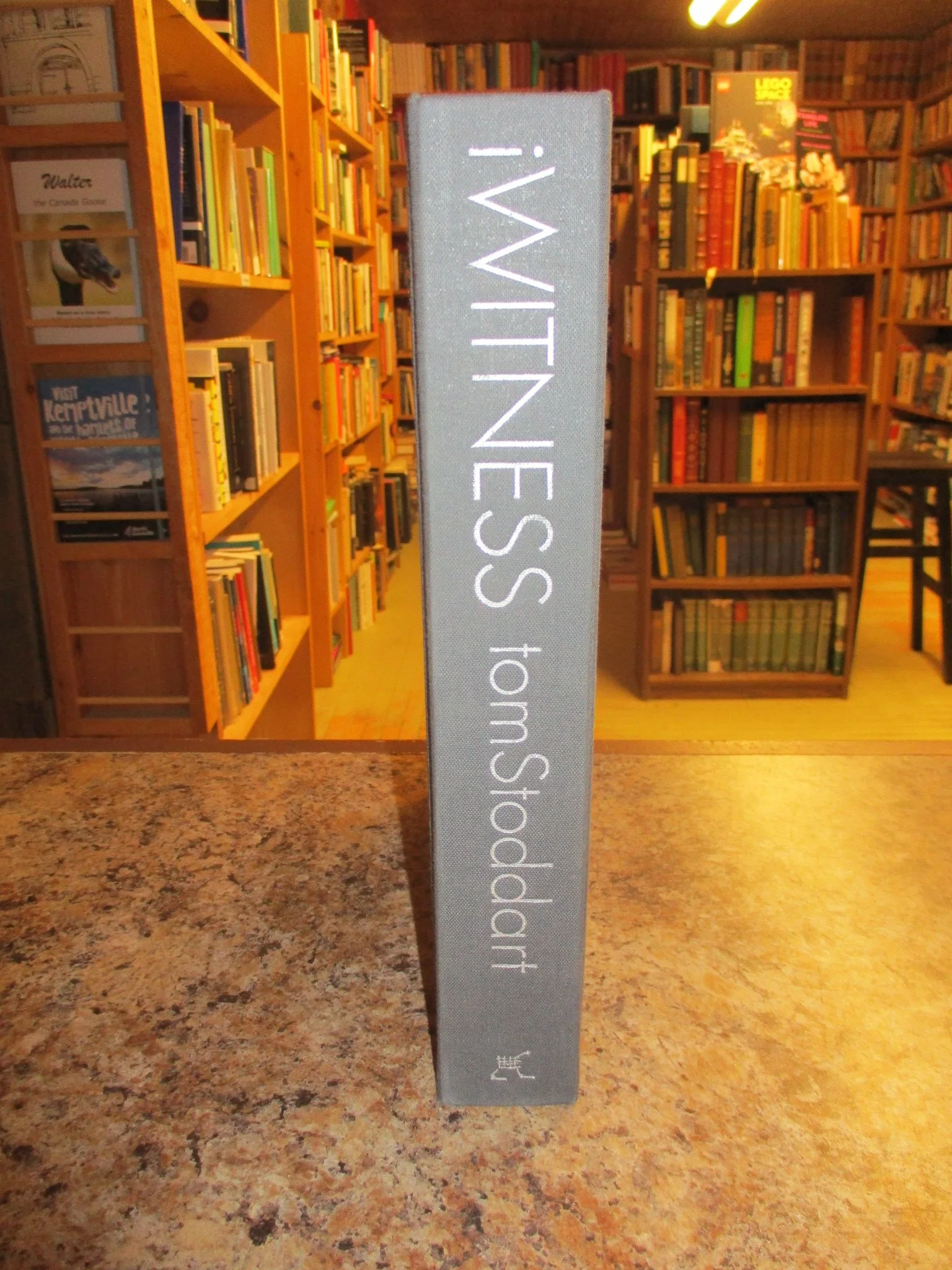 004439 - iWitness 3.JPG