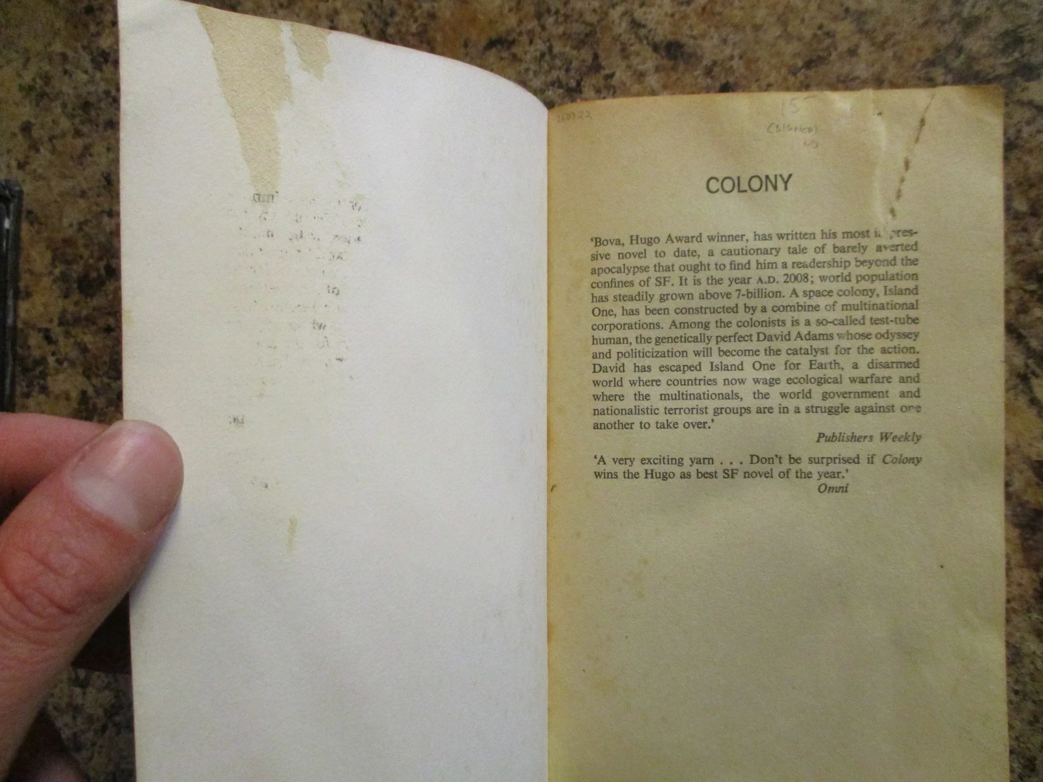 004269 - Colony 4.JPG