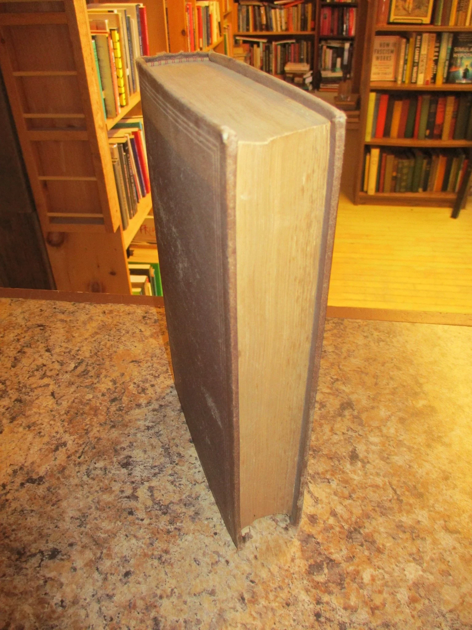 003813 - Settlement Upper Canada Quinte 4.JPG