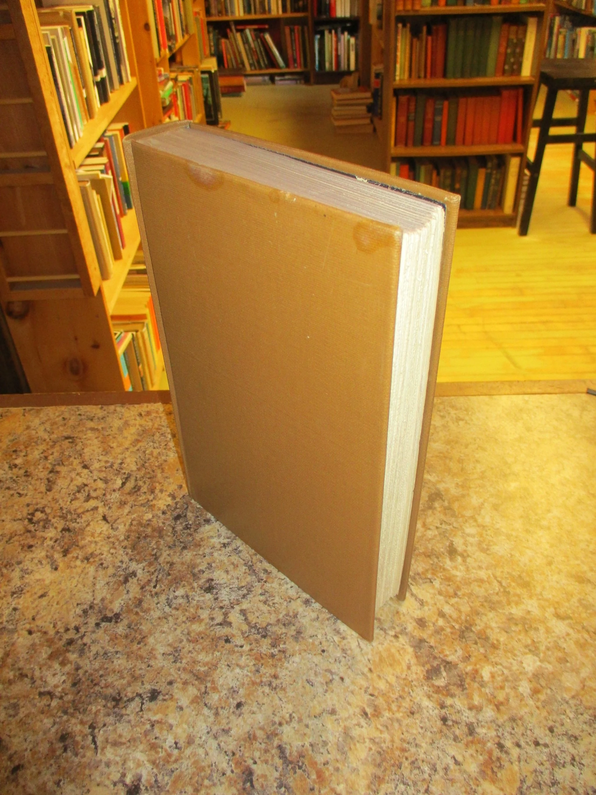 004057 - Revolt In The Desert 6.JPG