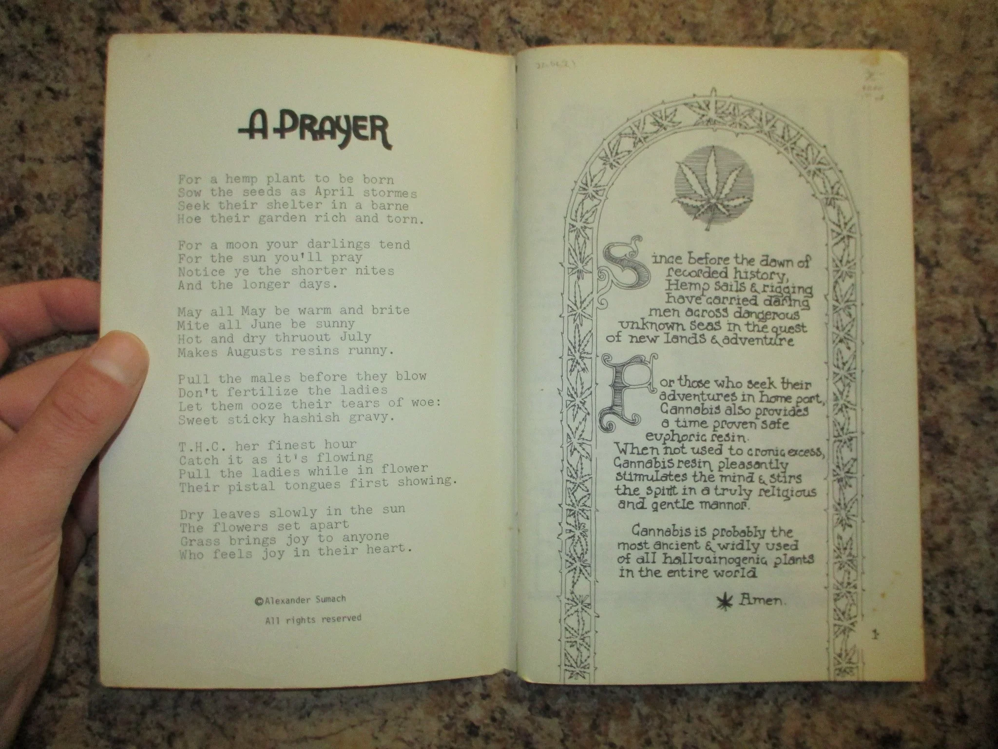 004066 - Grow Yer Own Stone 4.JPG