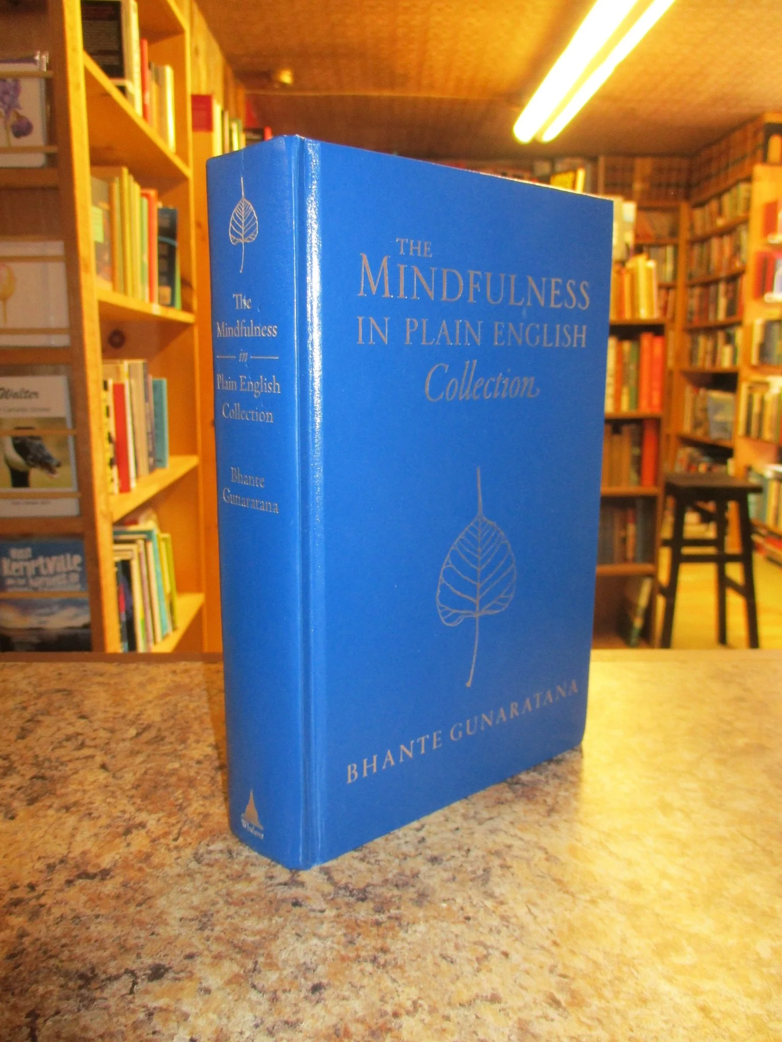004476 - Mindfulness Collection 1.JPG