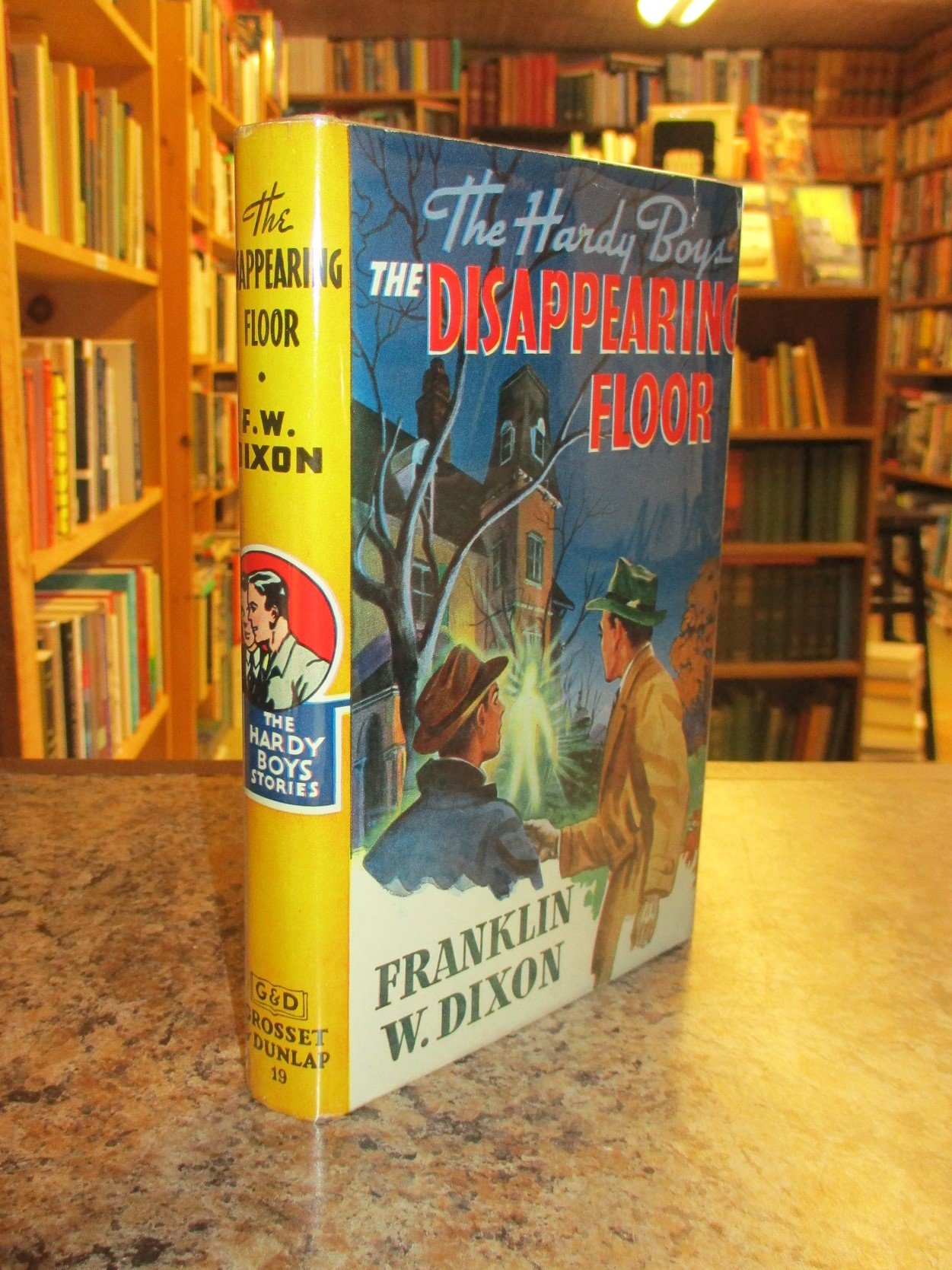 004298 - HB19 Disappearing Floor 1.JPG