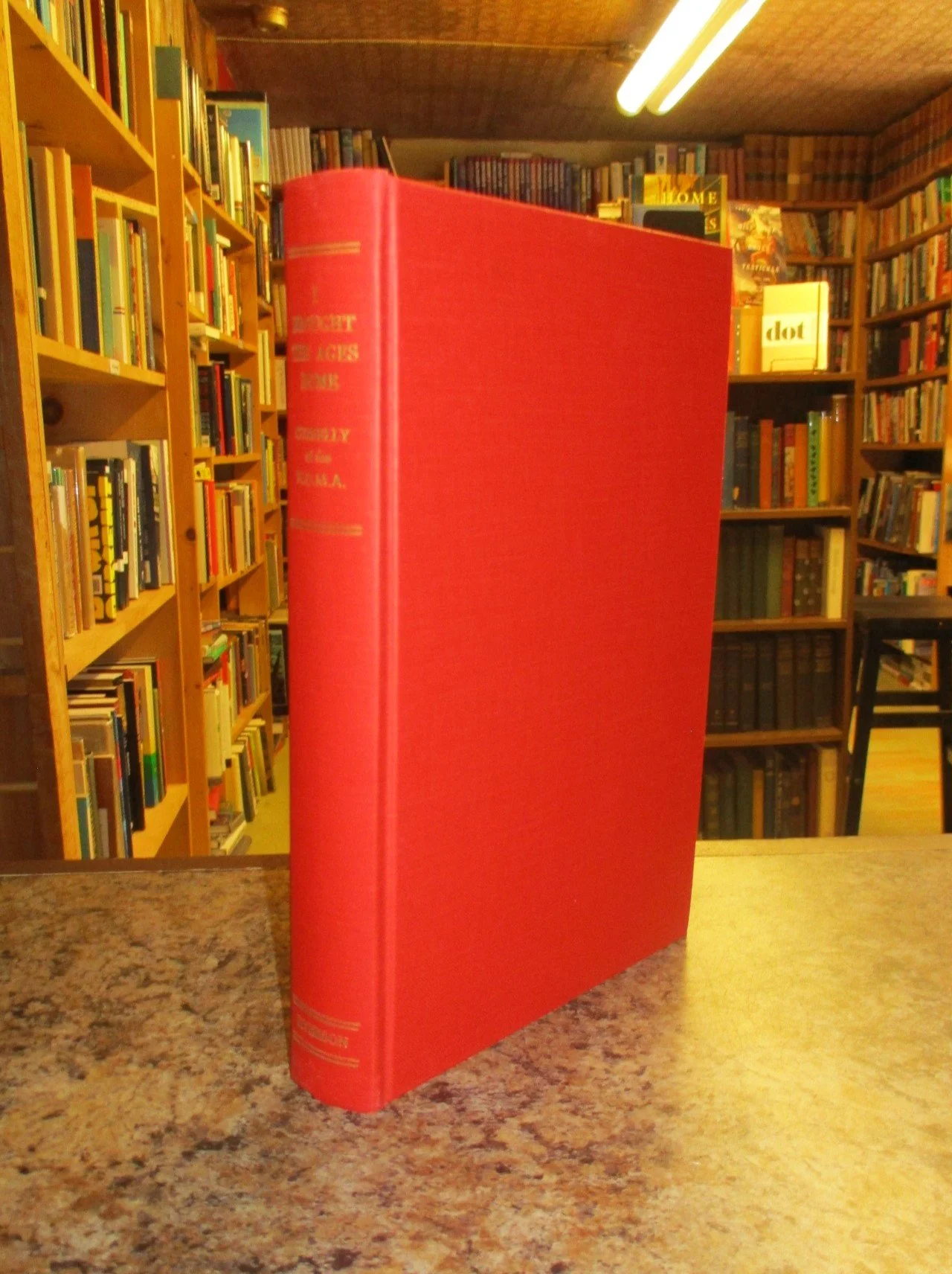 004080 - I Brought Ages Home 3.JPG