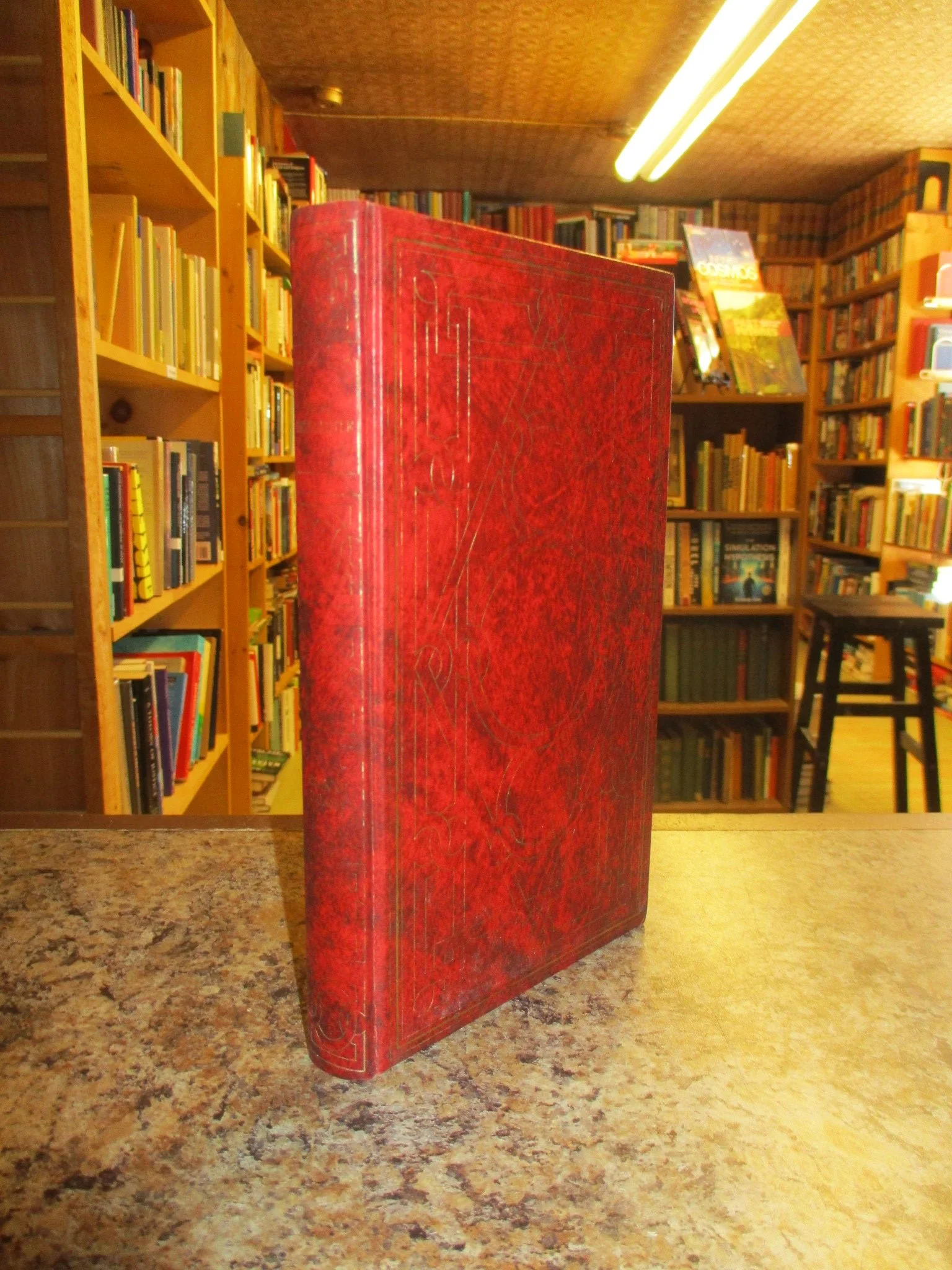 004353 - Charlie Muffin 1.JPG