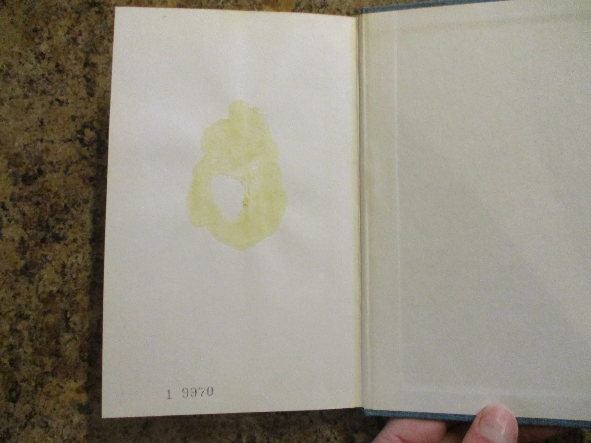 004345 - Girl In Gingham 8.JPG