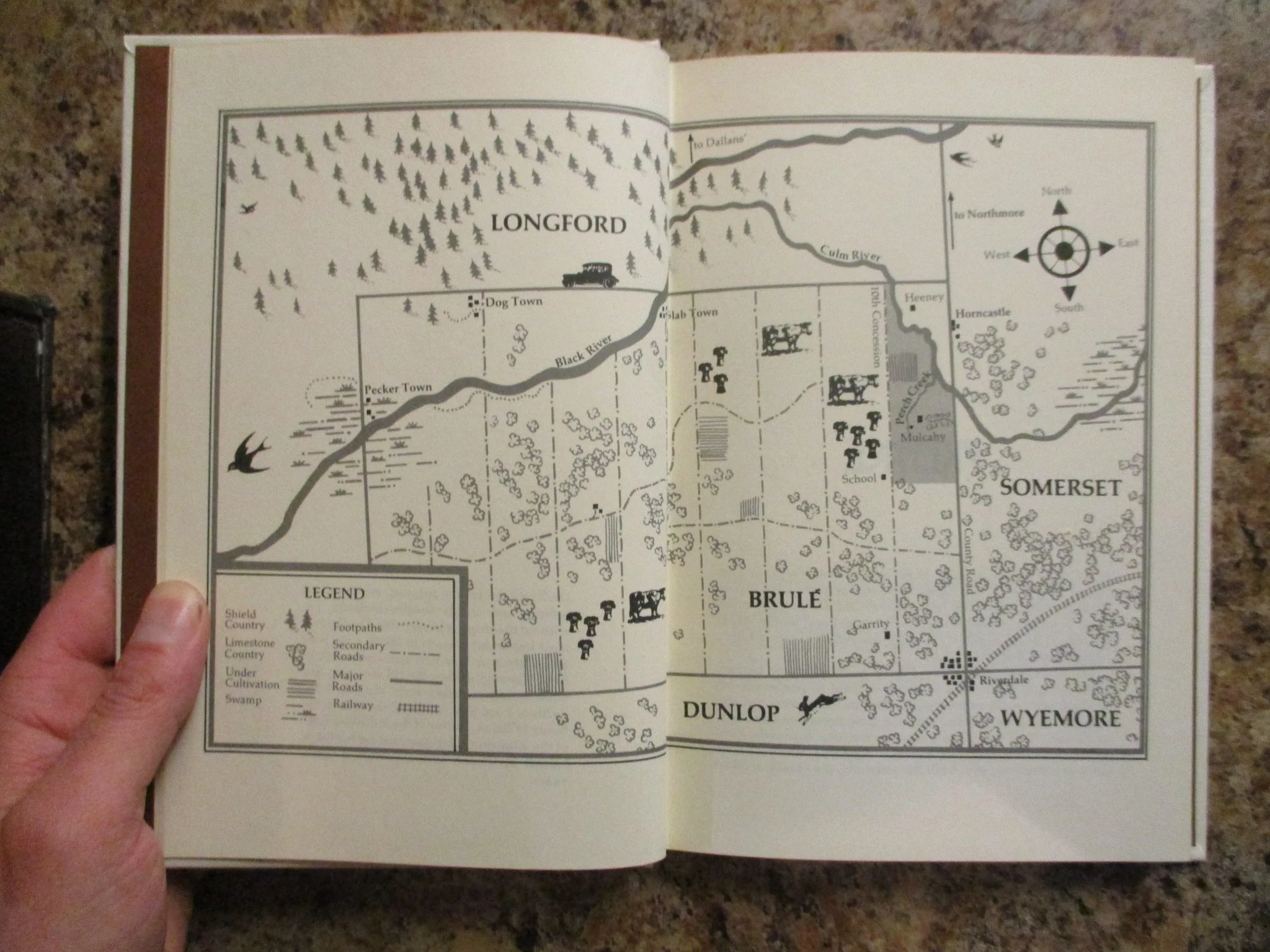 004308 - Lark Clear Air 7.JPG