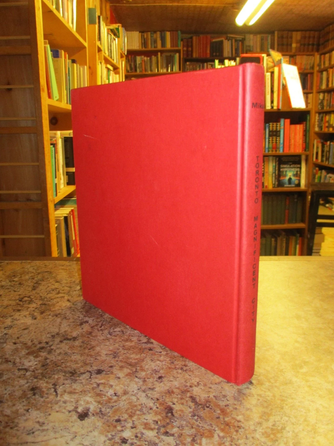 004327 - Toronto Magnificent City 2.JPG