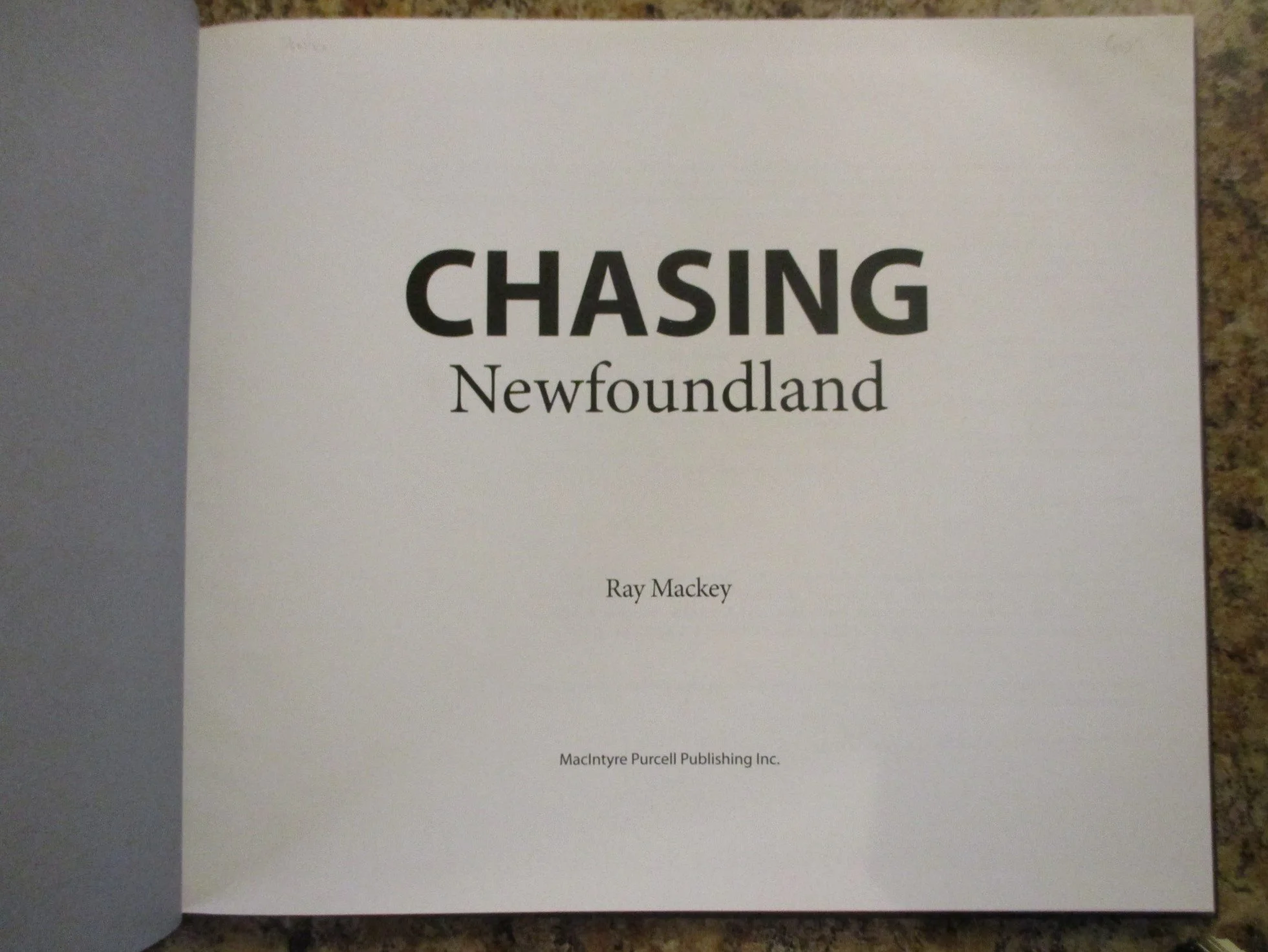 004474 - Chasing Newfoundland 3.JPG