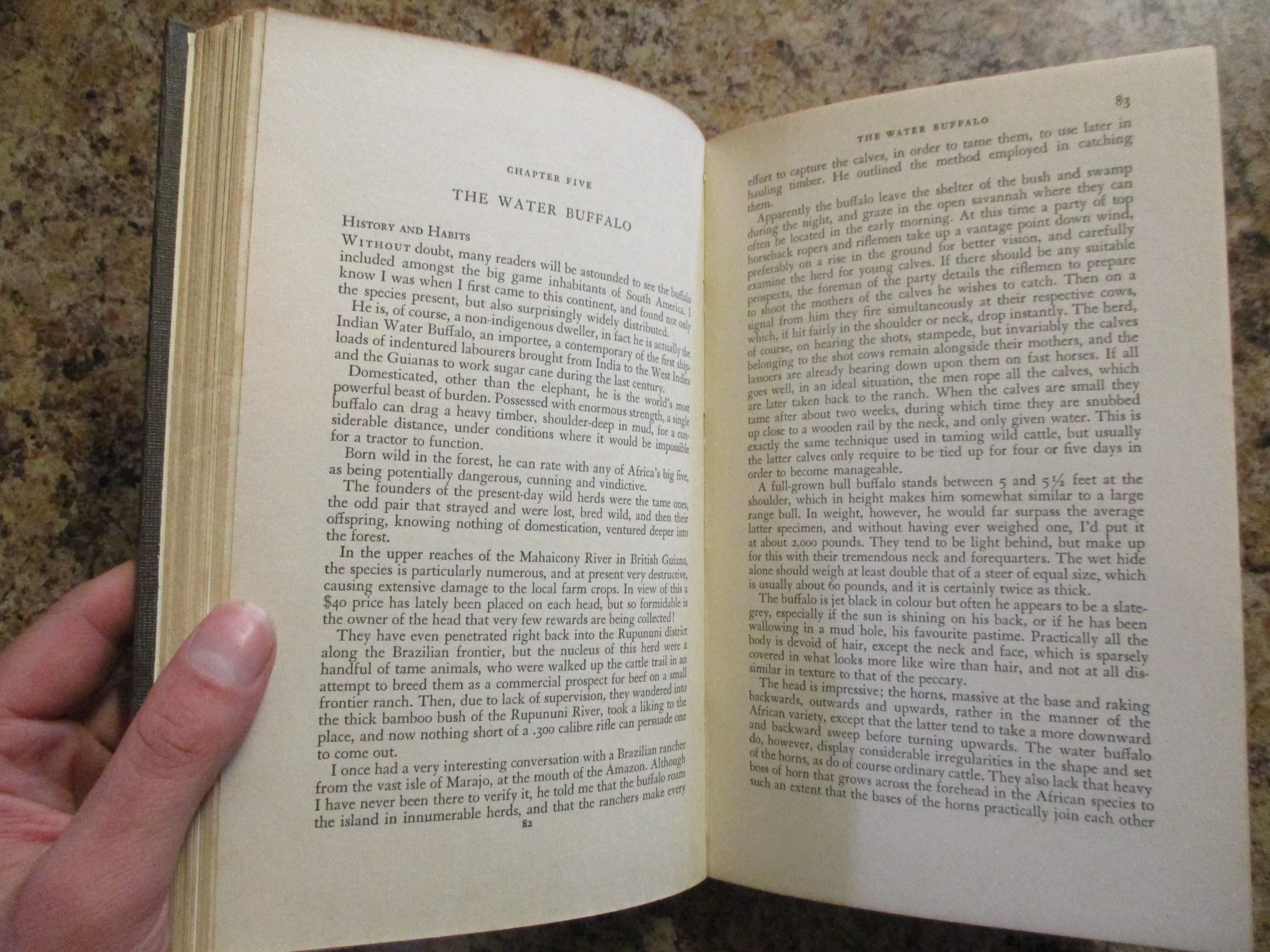 004079 - Hunting In The Wilderness 5.JPG