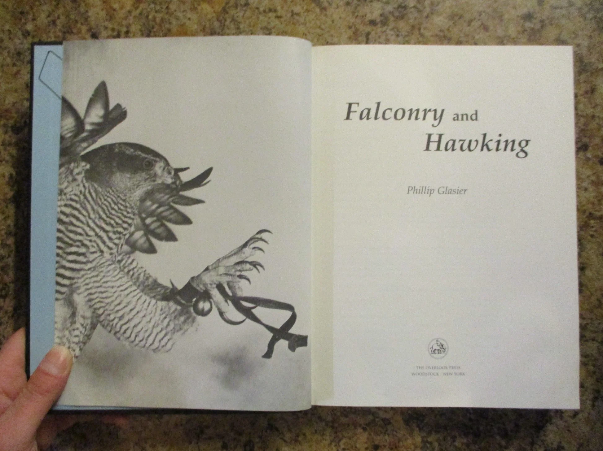 004212 - Falconry and Hawking 4.JPG