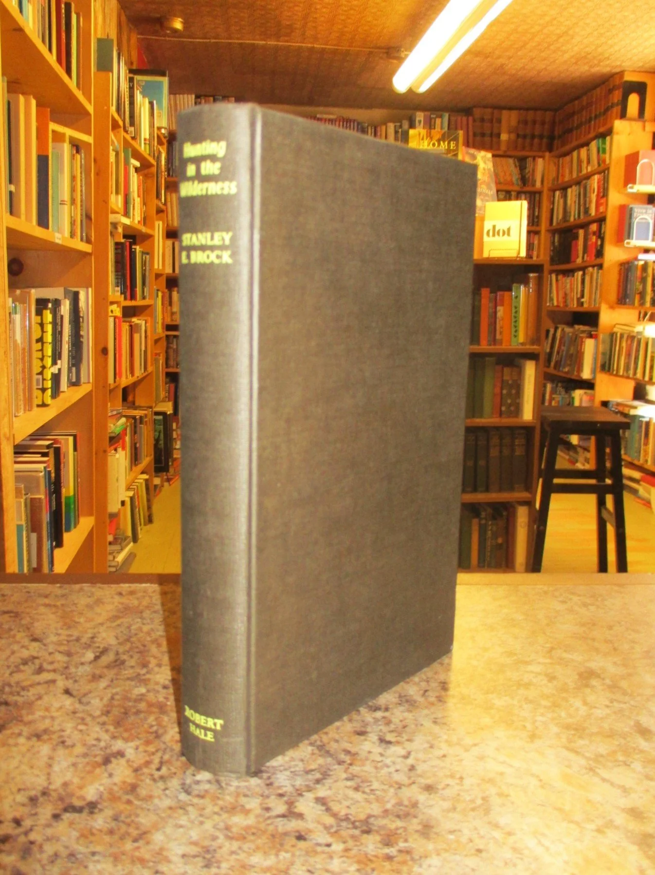 004079 - Hunting In The Wilderness 3.JPG