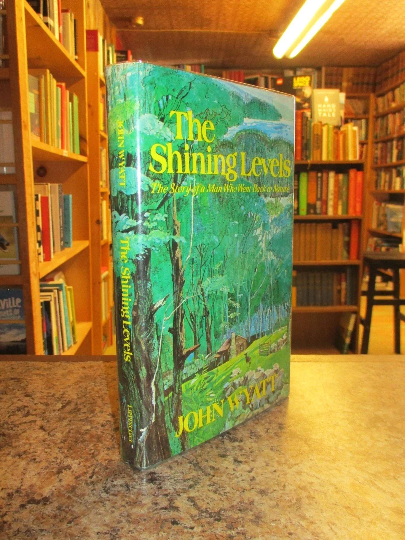 004477 - Shining Levels 1.JPG