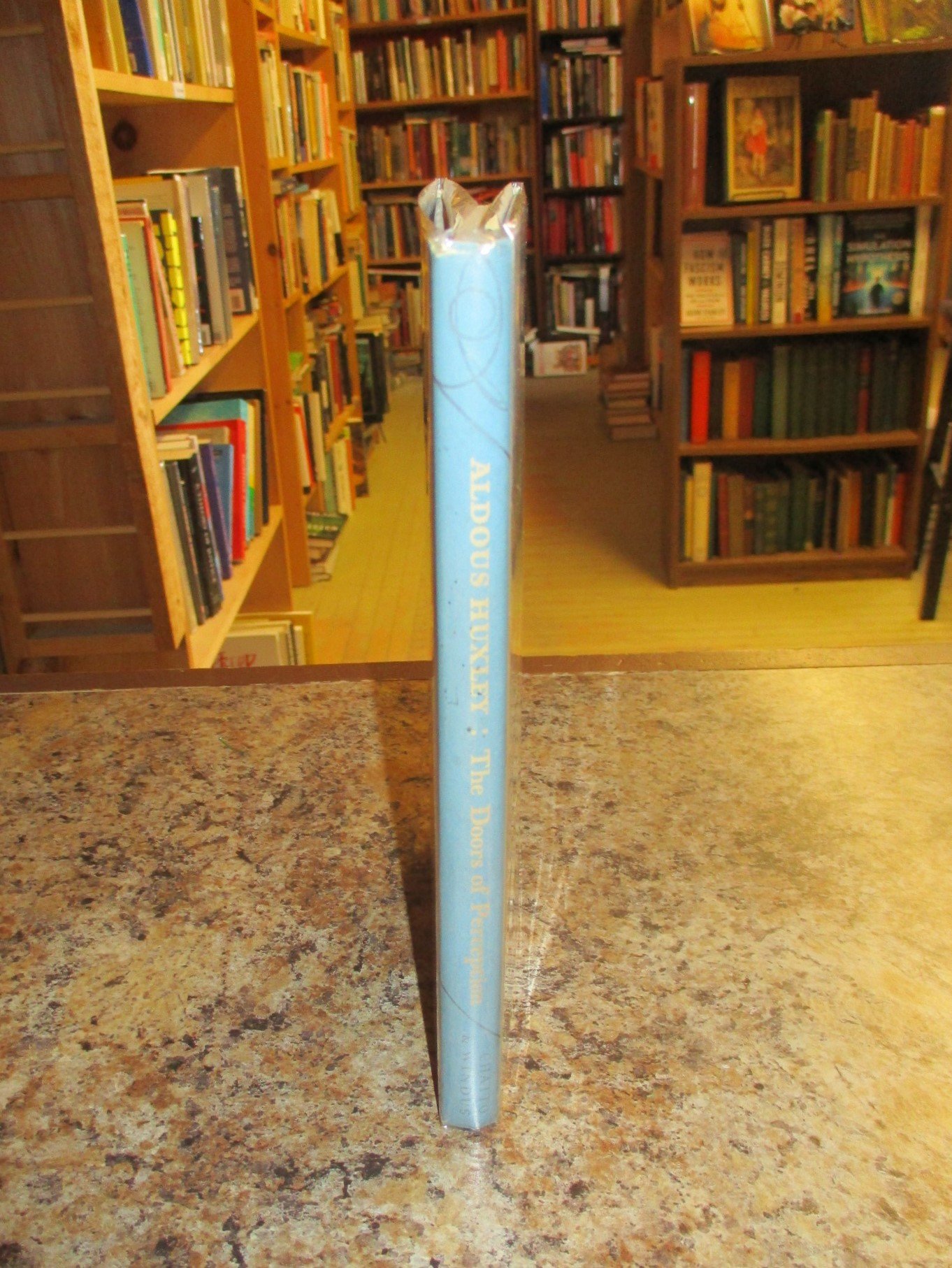 004358 - Doors of Perception 3.JPG