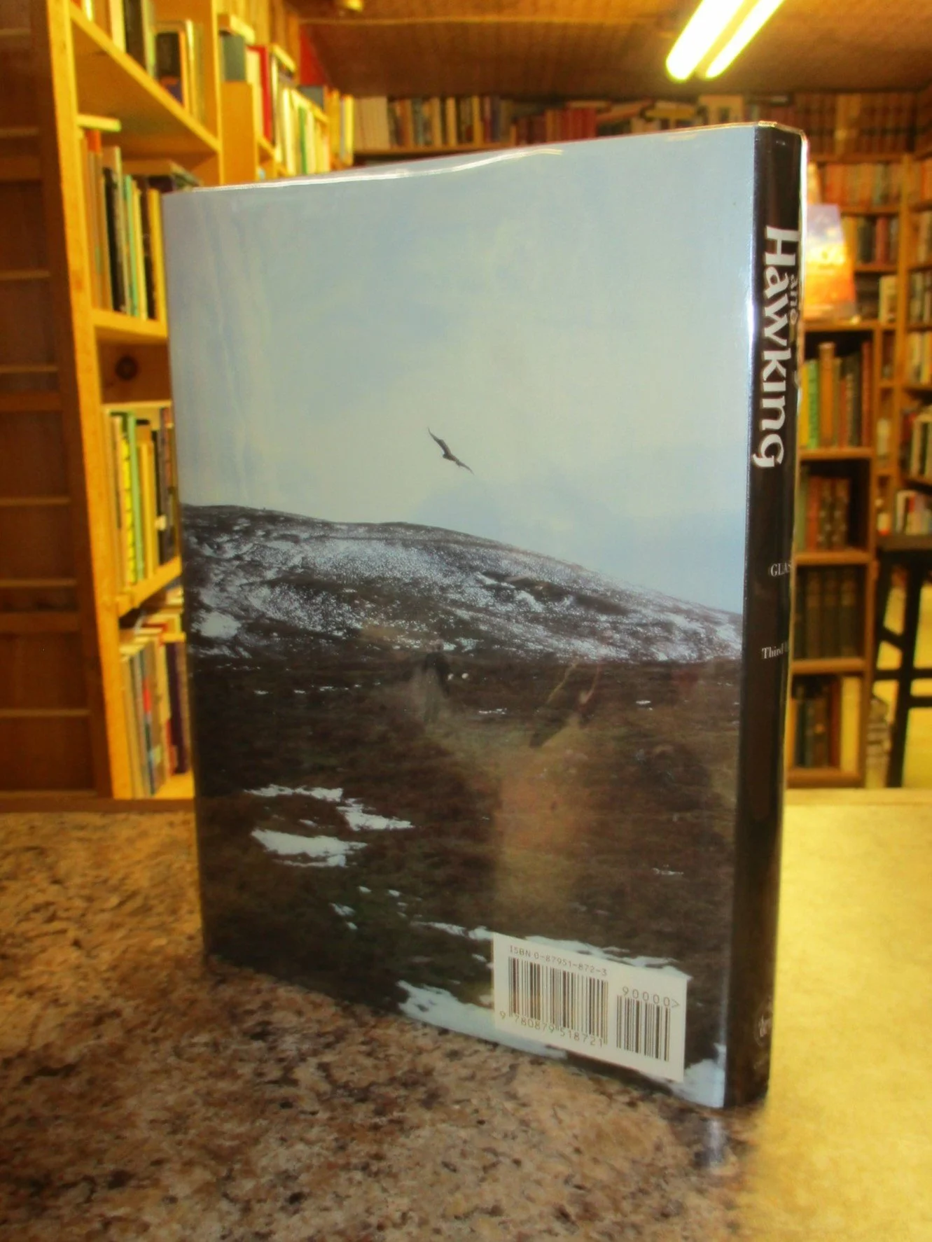 004212 - Falconry and Hawking 2.JPG