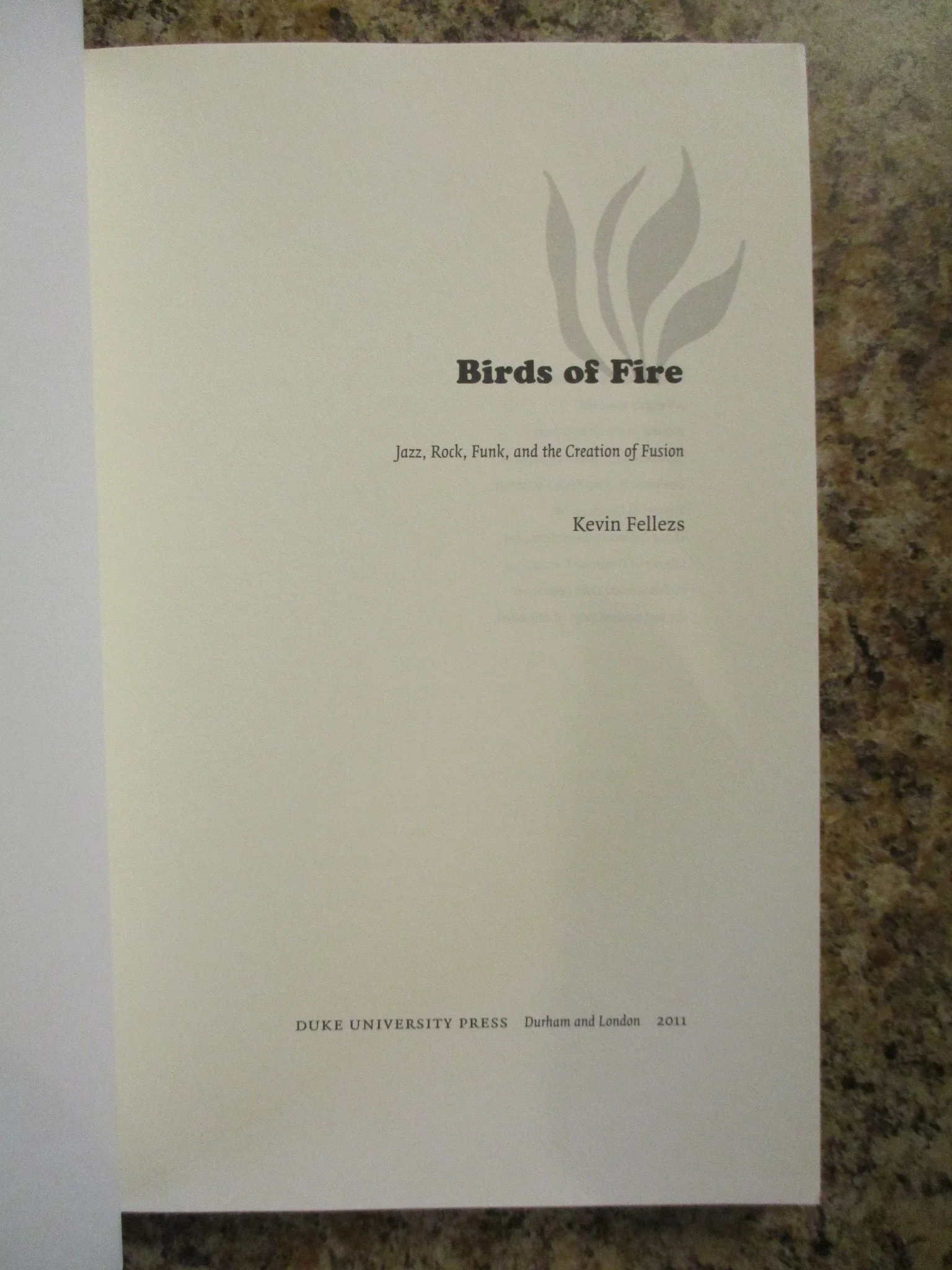 004461 - Birds Of Fire 3.JPG