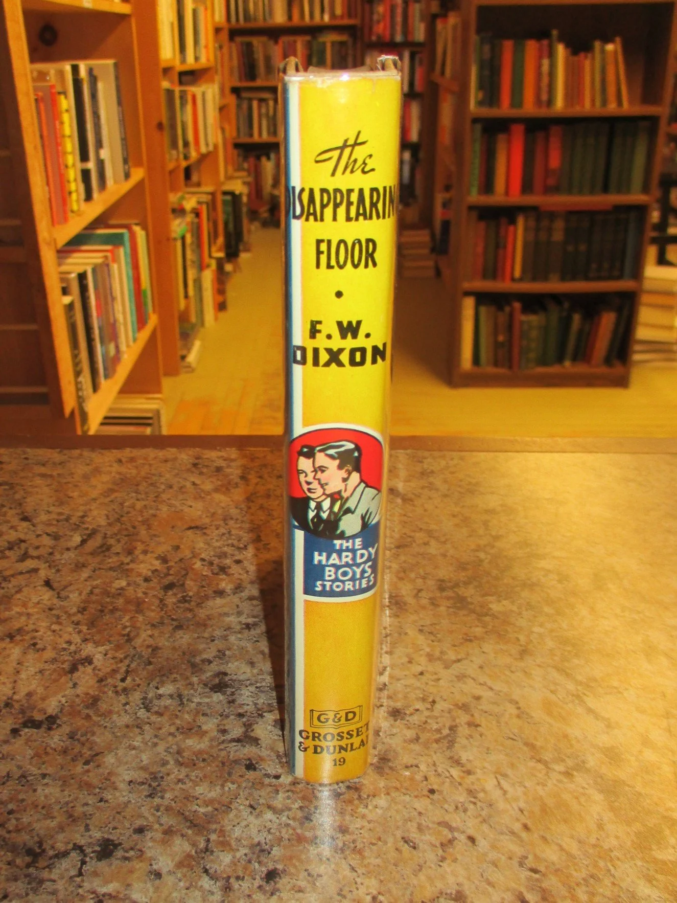 004298 - HB19 Disappearing Floor 3.JPG