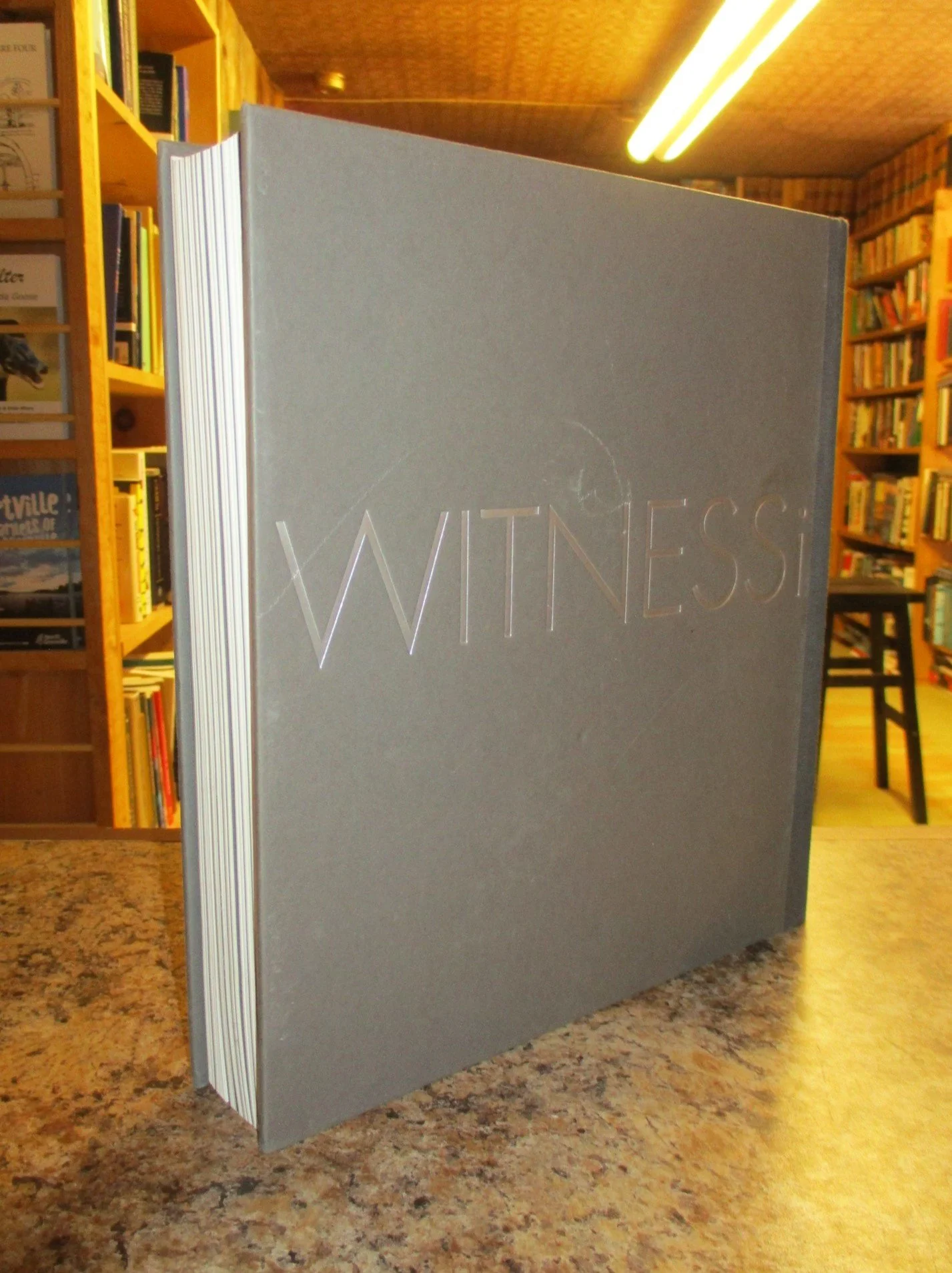 004439 - iWitness 2.JPG