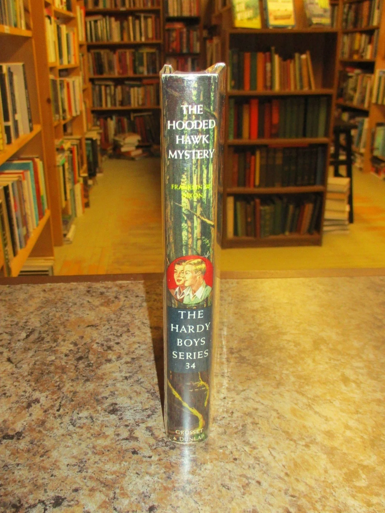 004300 - HB34 Hooded Hawk 3.JPG