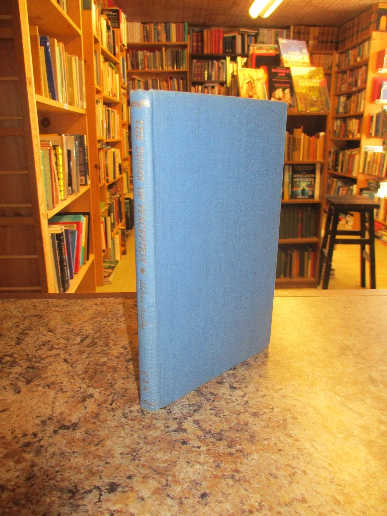 004358 - Doors of Perception 4.JPG