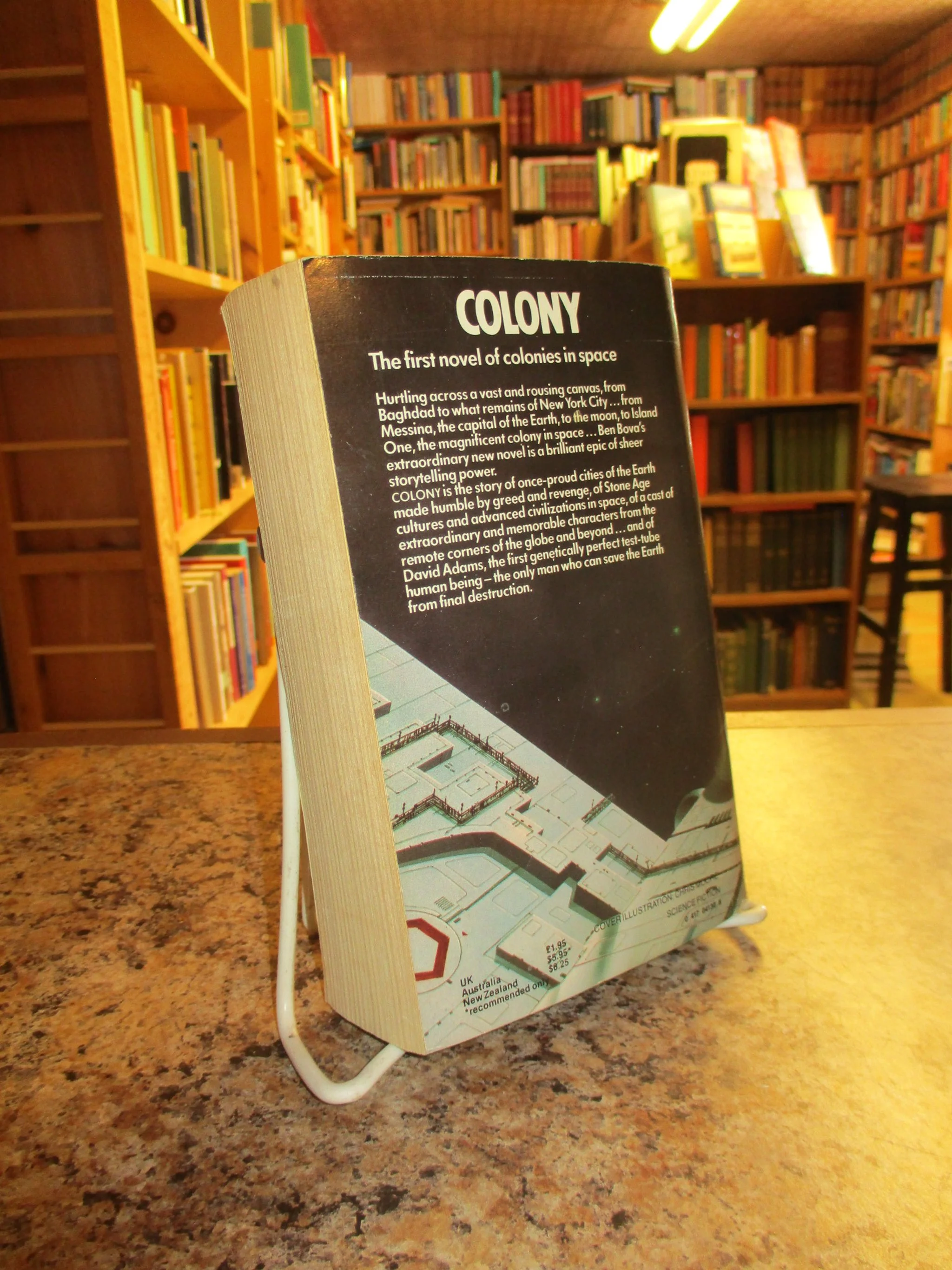 004269 - Colony 2.JPG