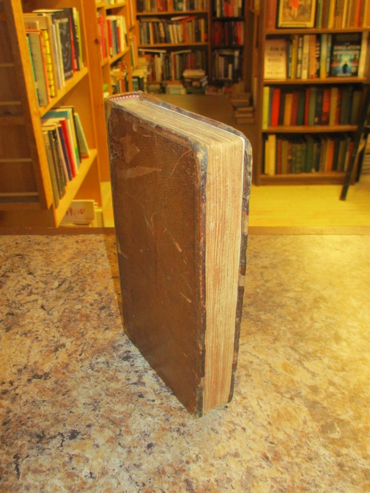 004370 - Richard Savage 4.JPG