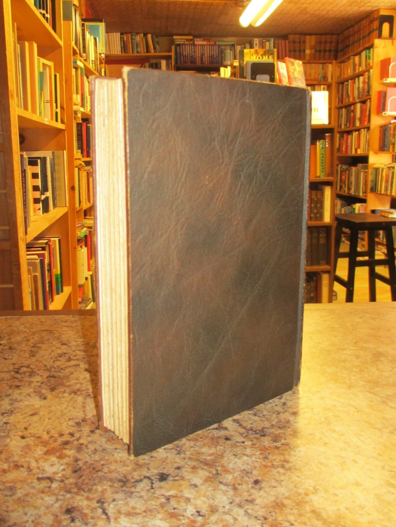 004093 - Outdoor Pastimes 2.JPG