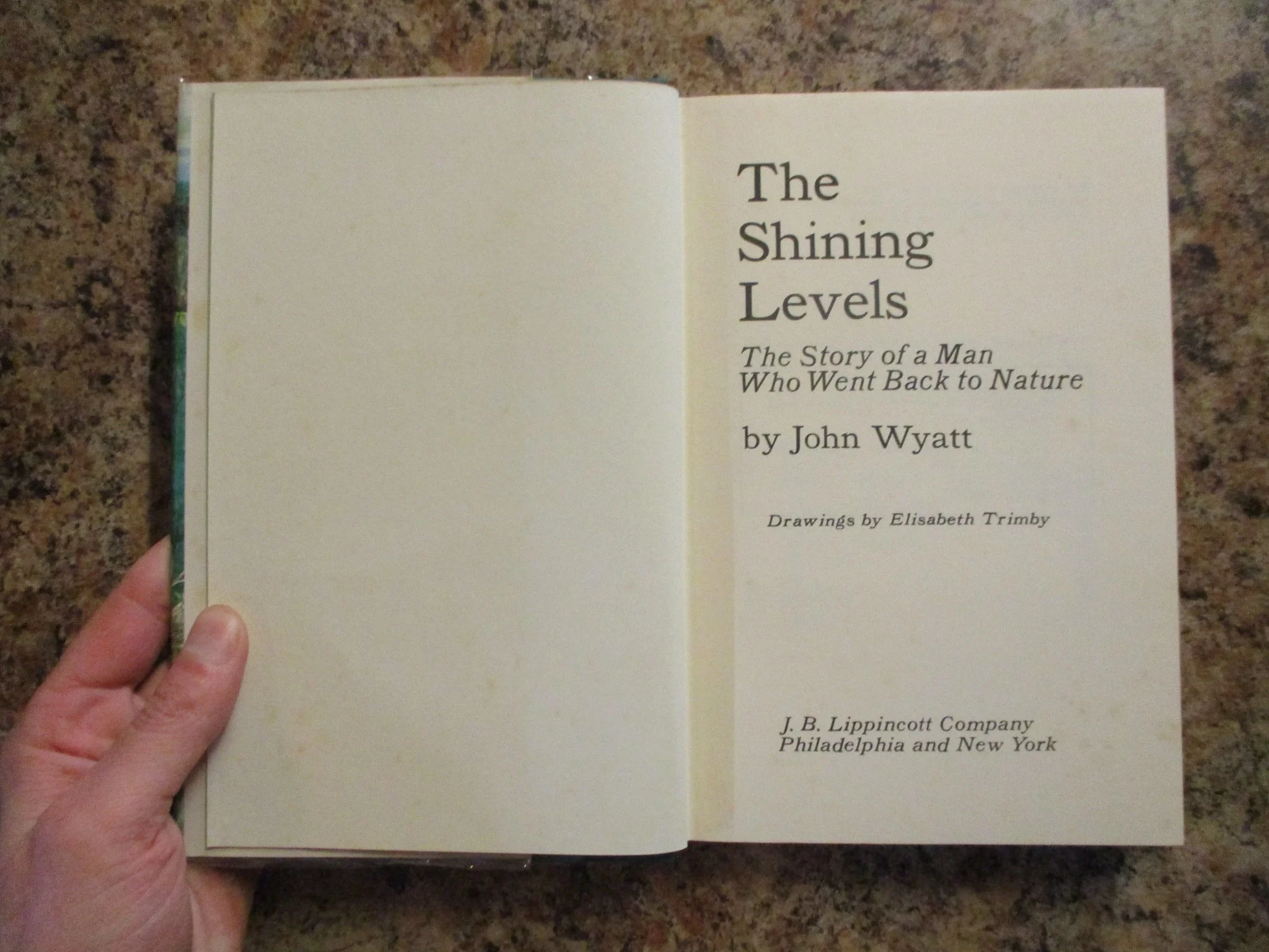 004477 - Shining Levels 3.JPG