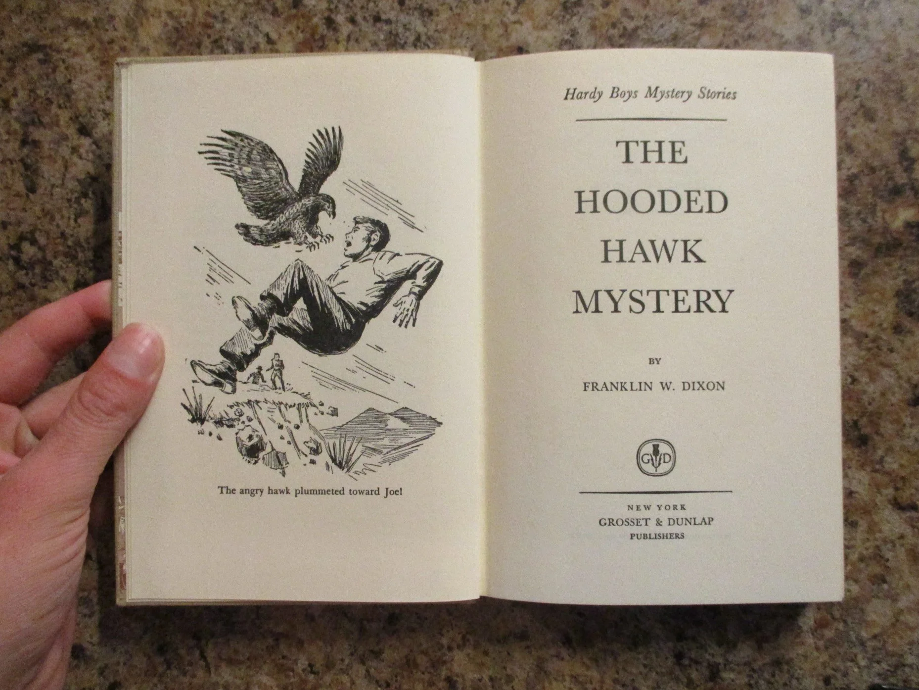 004300 - HB34 Hooded Hawk 6.JPG