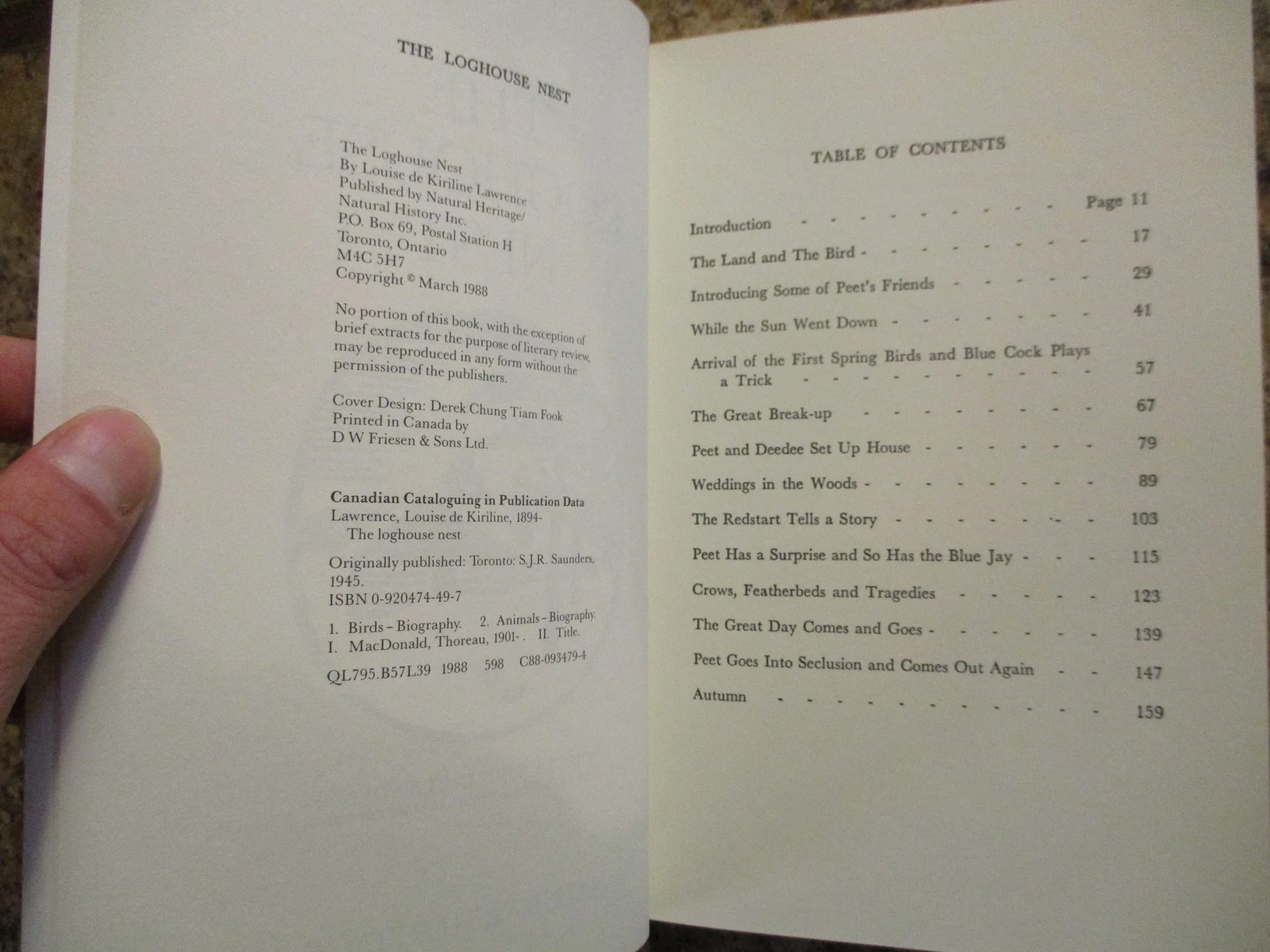 004158 - Loghouse Nest 4.JPG