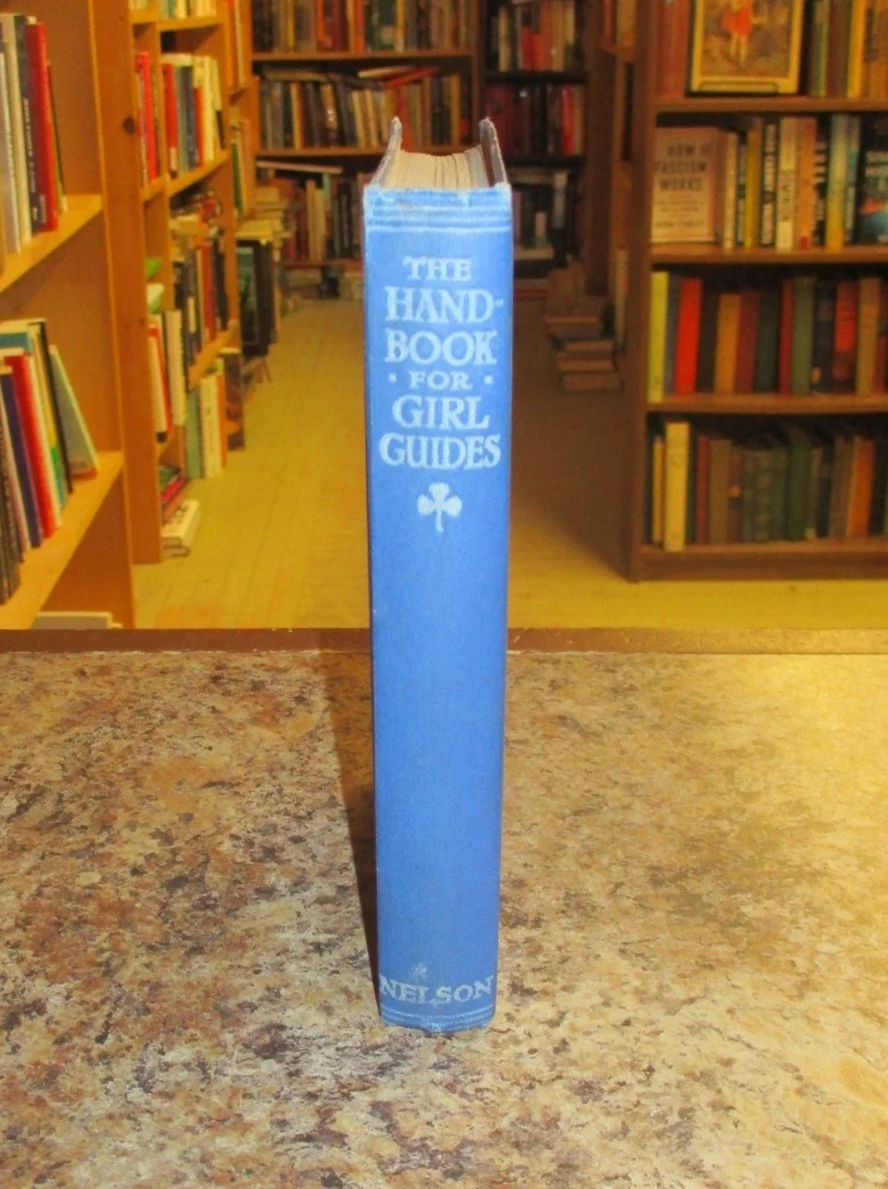 004371 - Handbook for Girl Guides 3.JPG