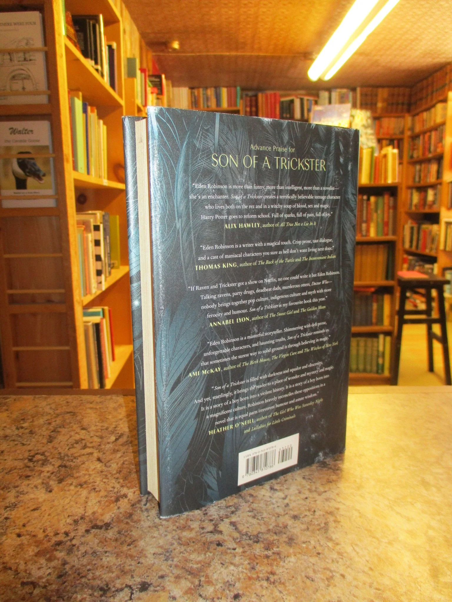 004417 - Son Of A Trickster 2.JPG