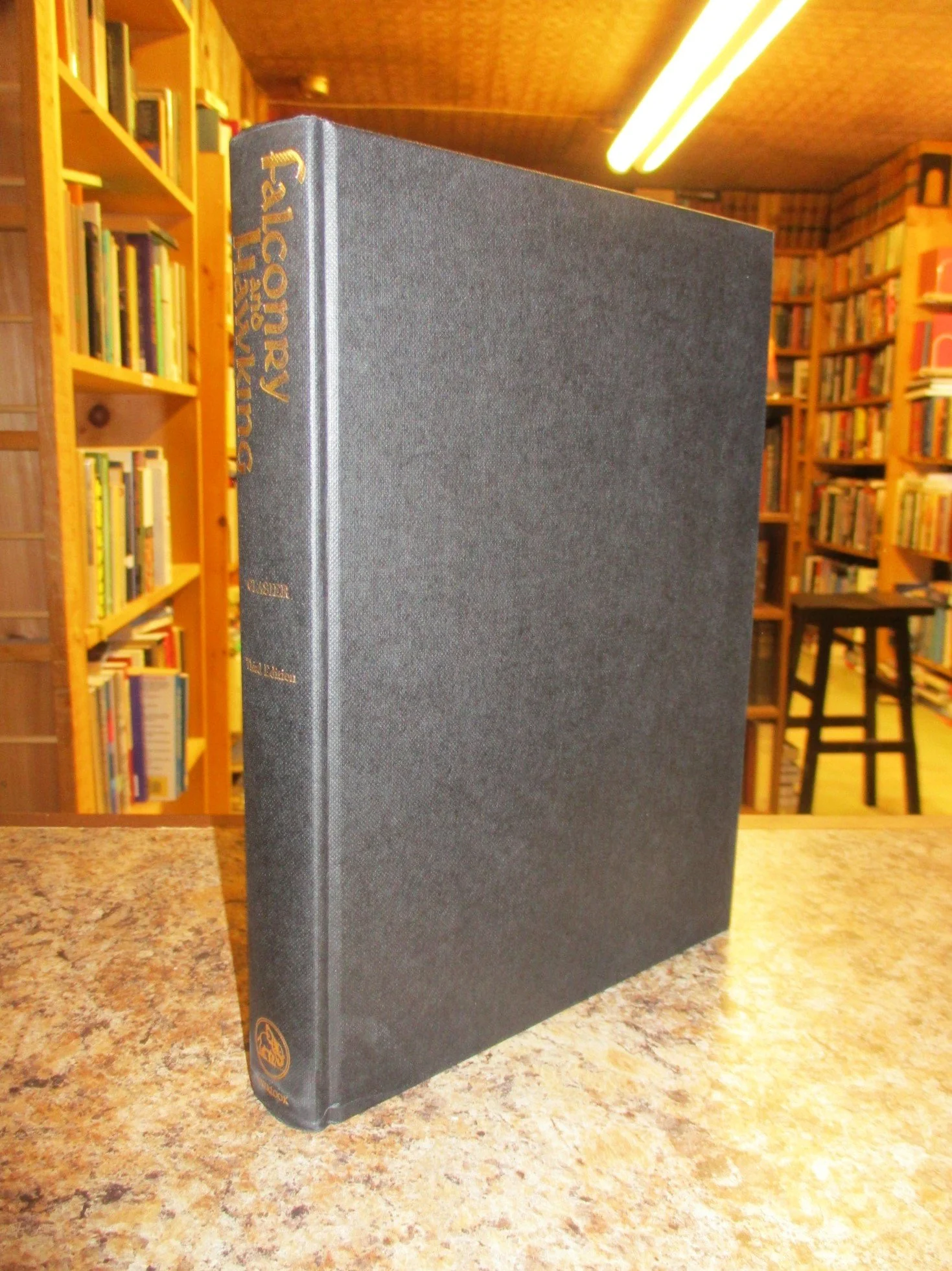 004212 - Falconry and Hawking 3.JPG