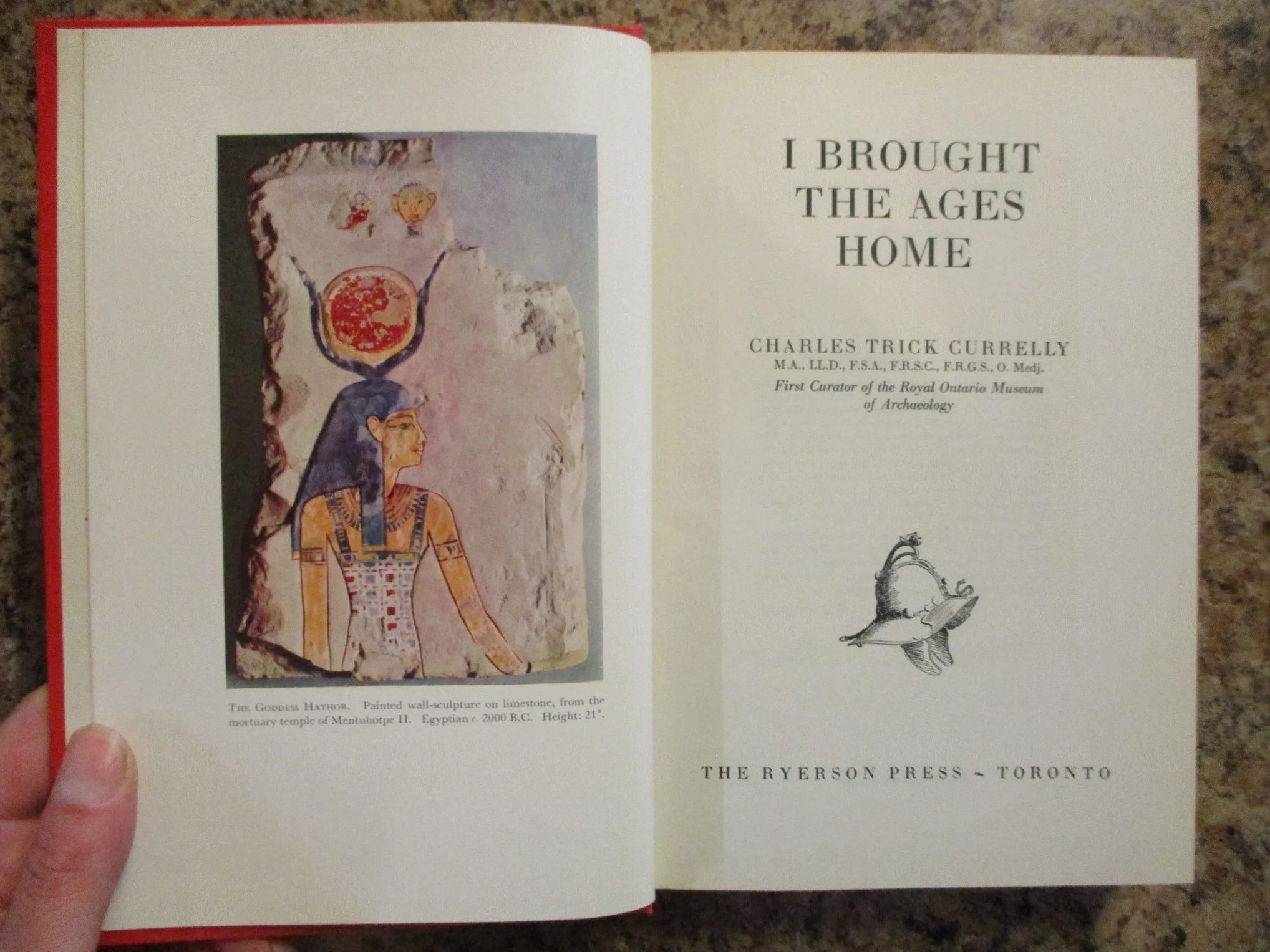 004080 - I Brought Ages Home 4.JPG