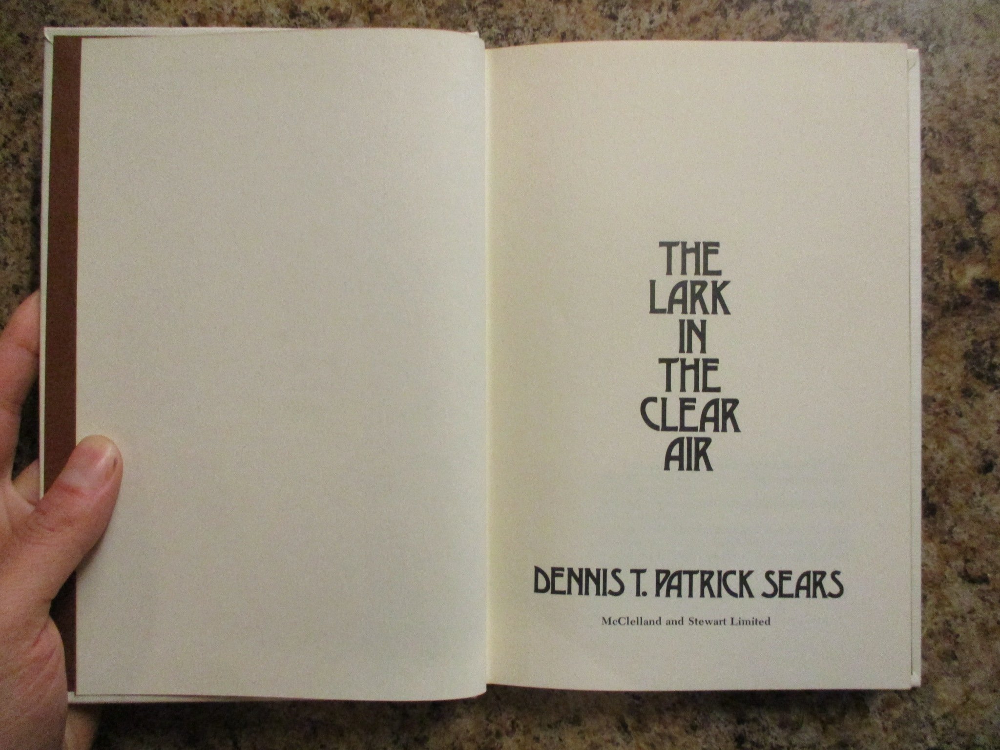 004308 - Lark Clear Air 5.JPG