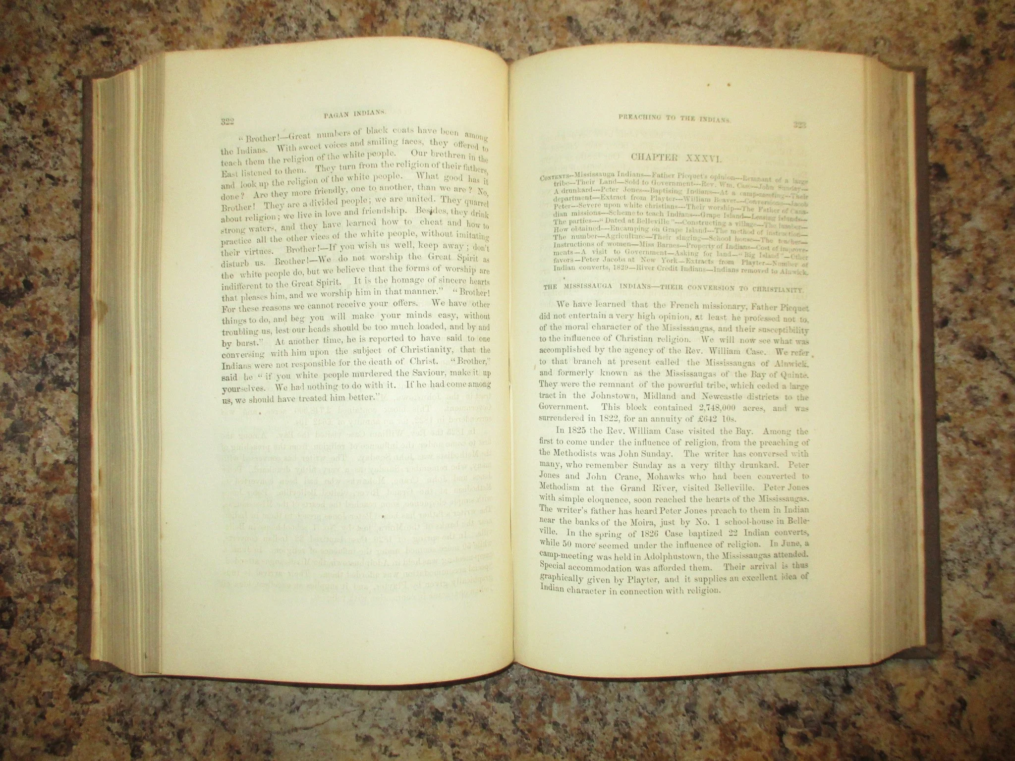 003813 - Settlement Upper Canada Quinte 8.JPG