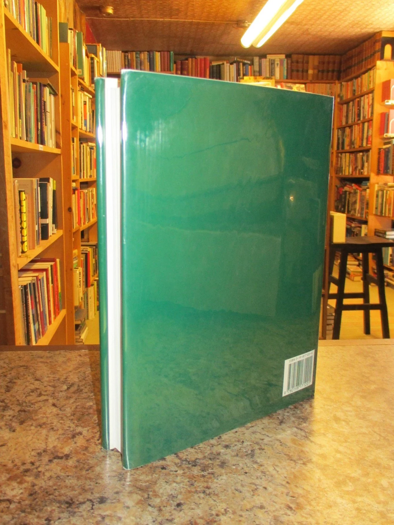 004235 - Saracenic Heraldry 2.JPG