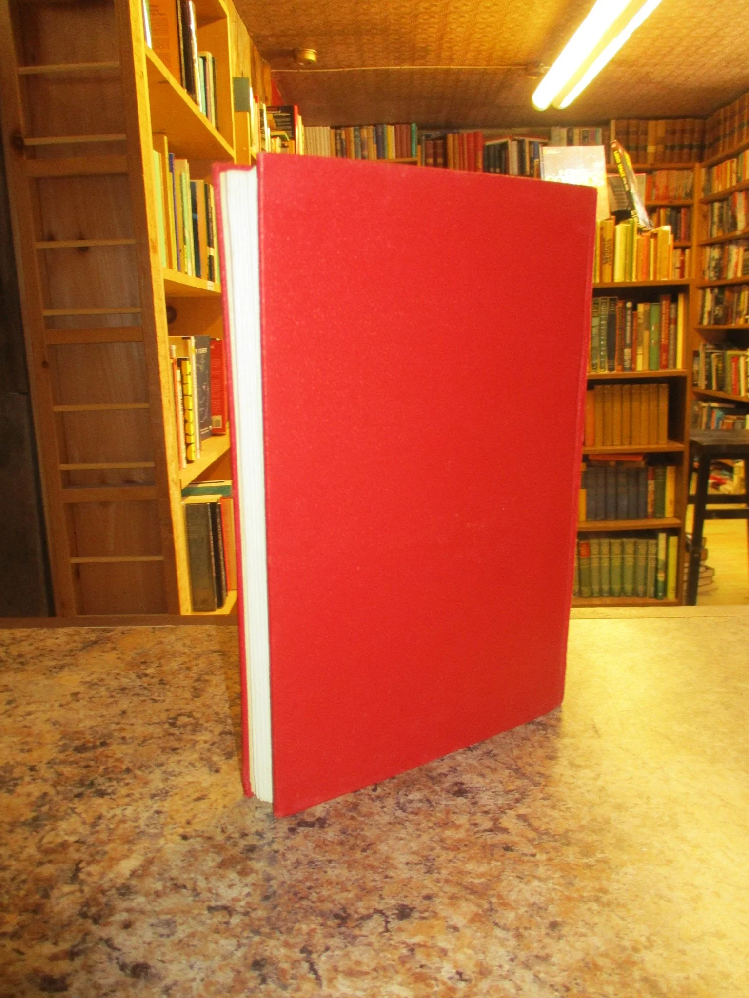 004395 - And Jacob Called That Place Bethel 2.JPG