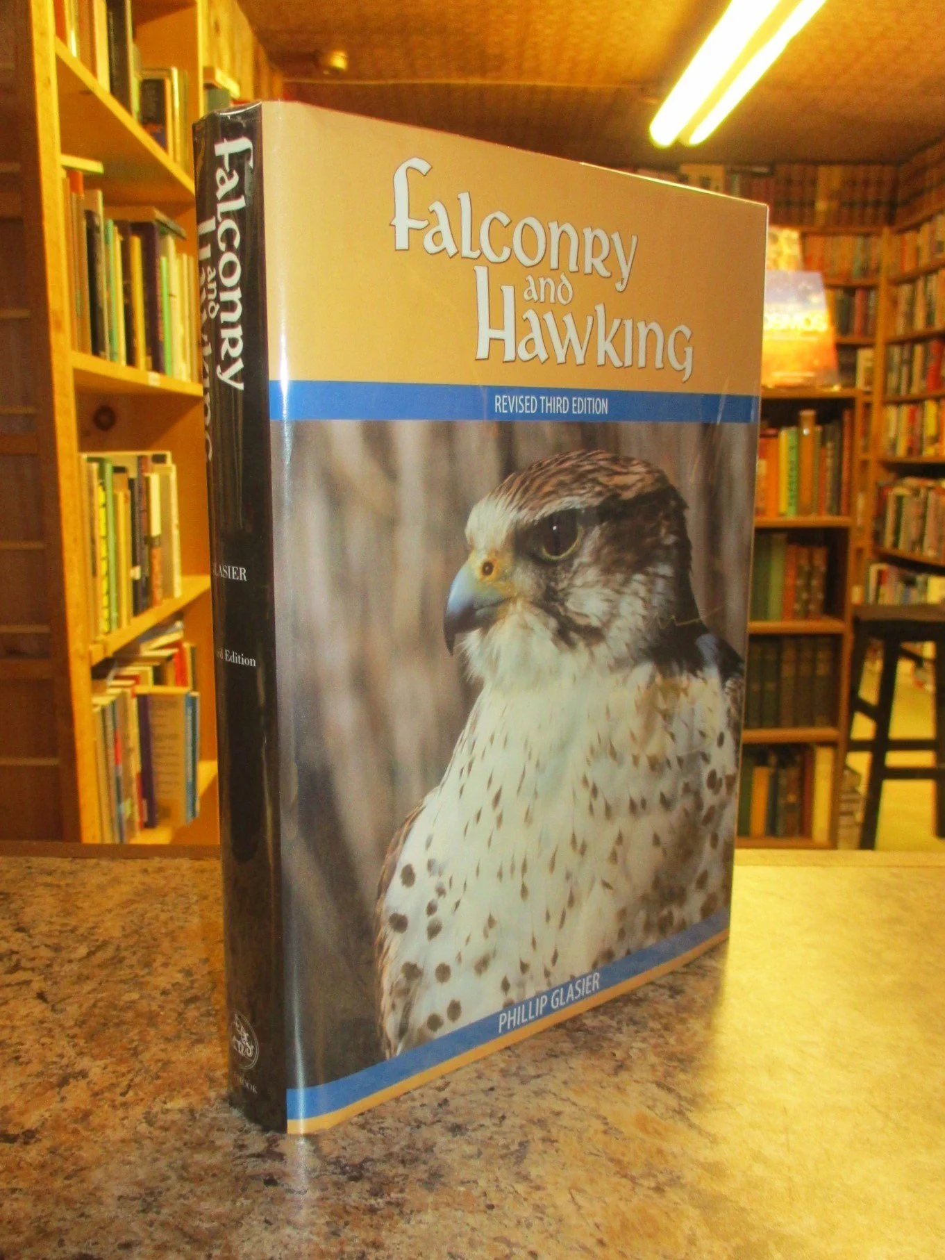 004212 - Falconry and Hawking 1.JPG