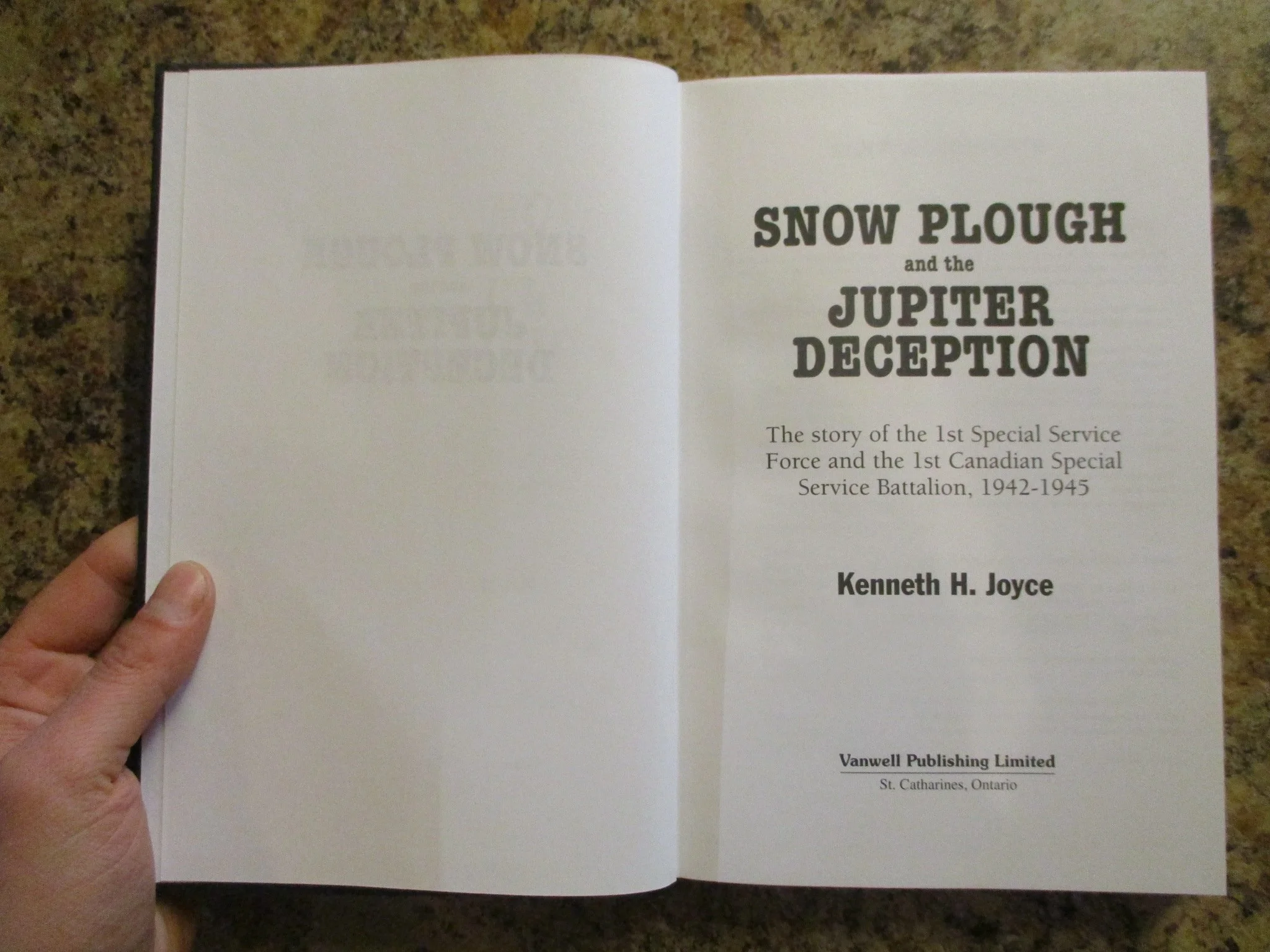 004231 - Snow Plough 4.JPG