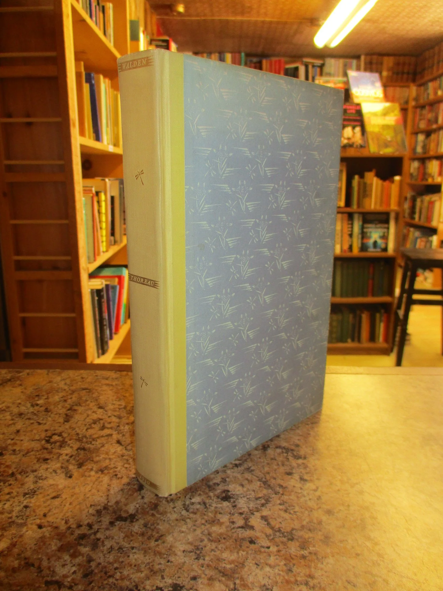 004363 - Walden 1.JPG