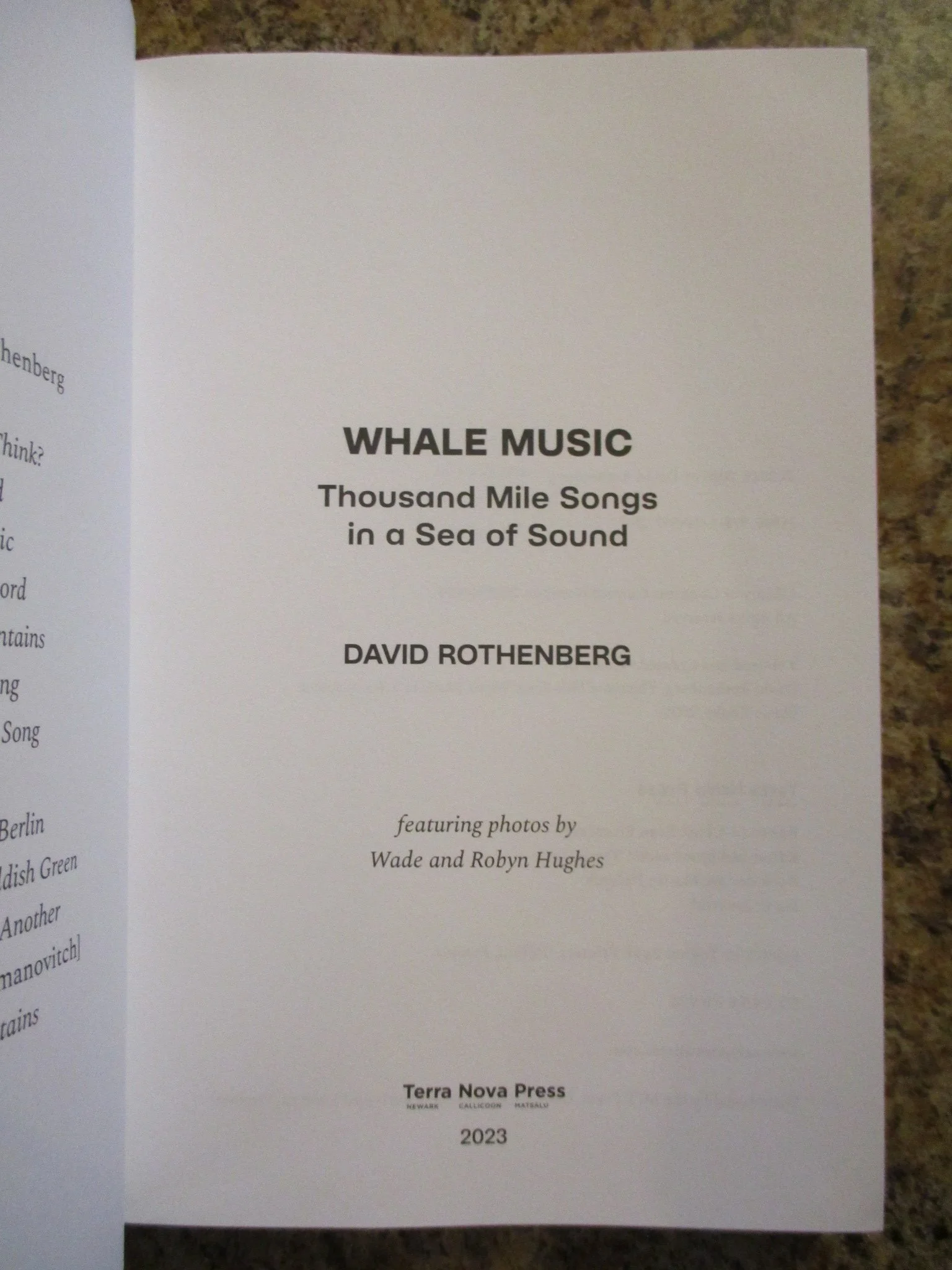 004452 - Whale Music 3.JPG